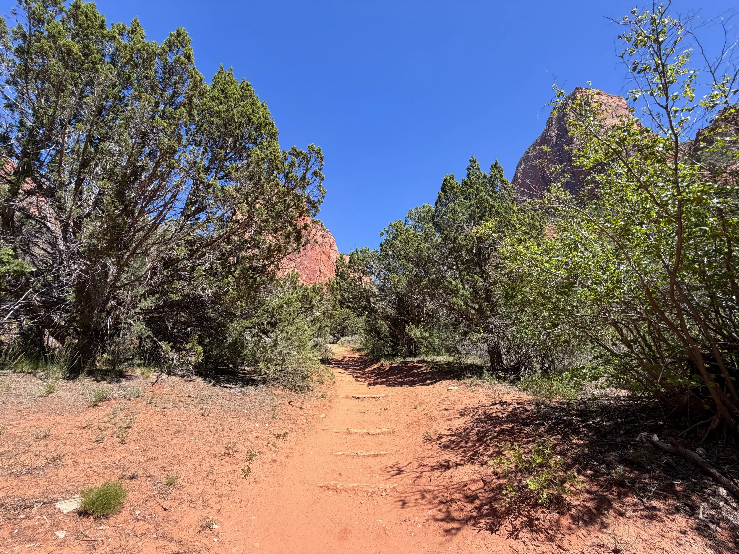 Taylor Creek Trail to Double Arch Alcove Zion National Park Utah