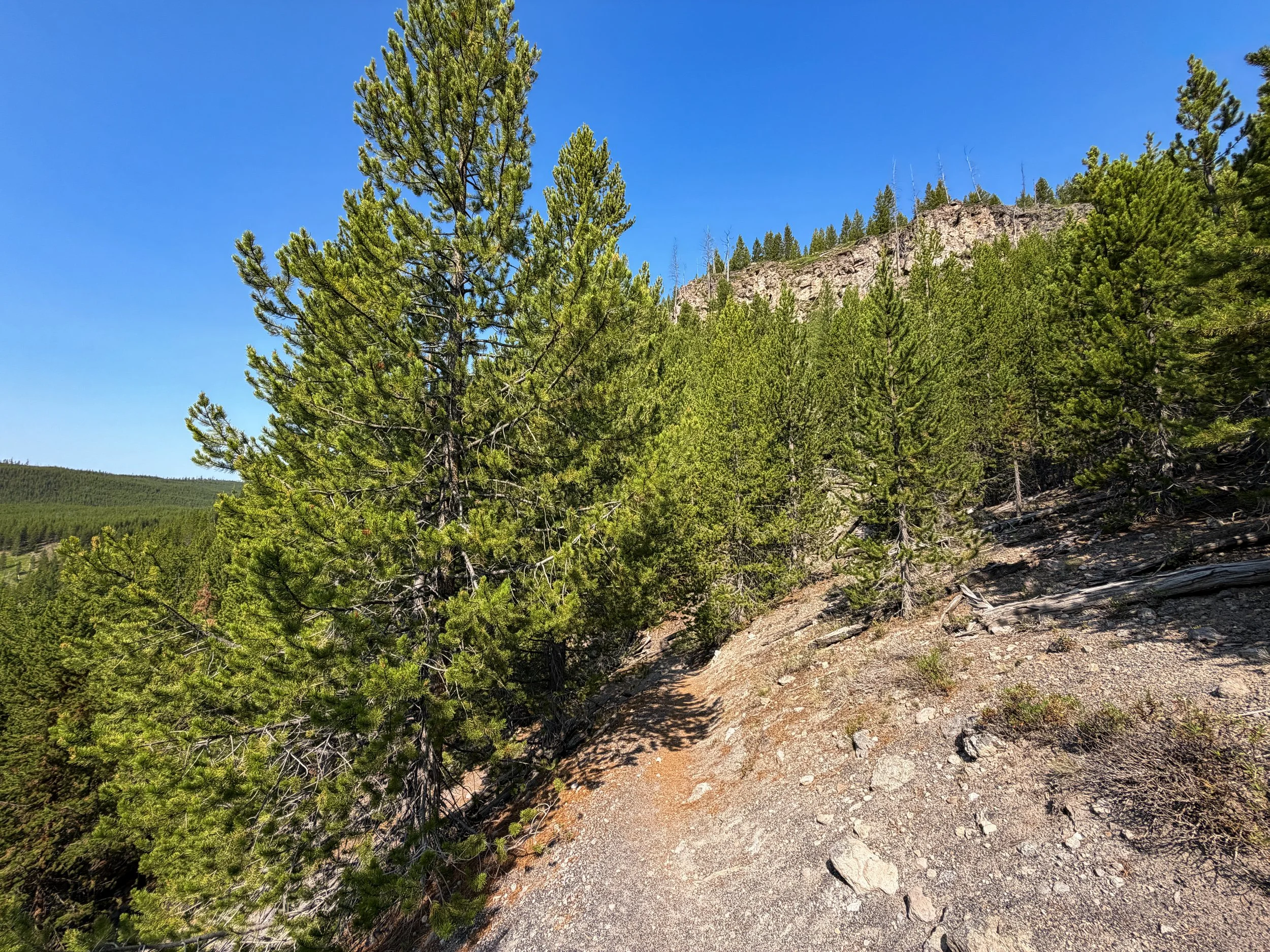 Mystic Falls Trail Yellowstone National Park Wyoming