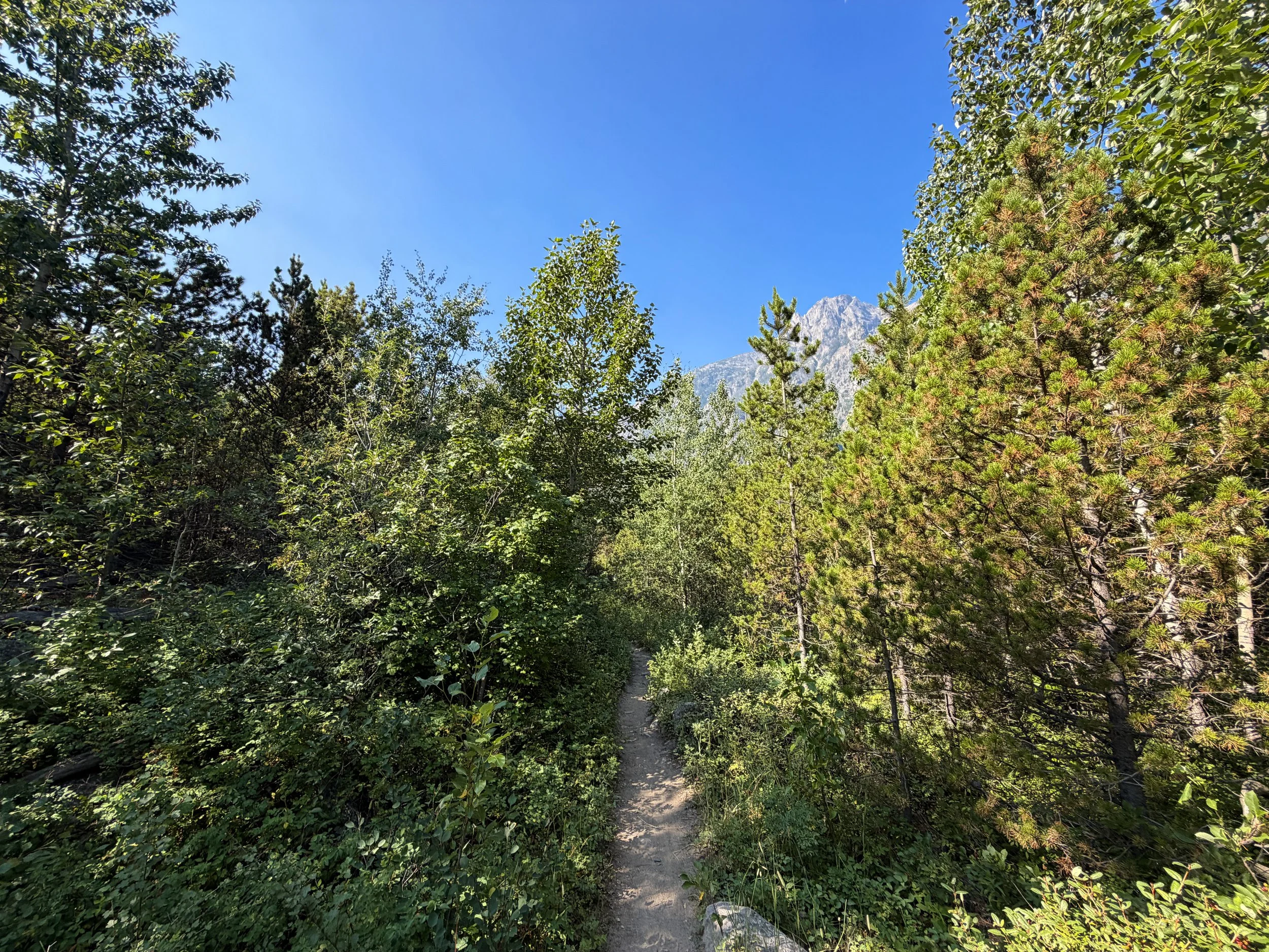 East Rosebud Trail Beartooth Mountains Montana