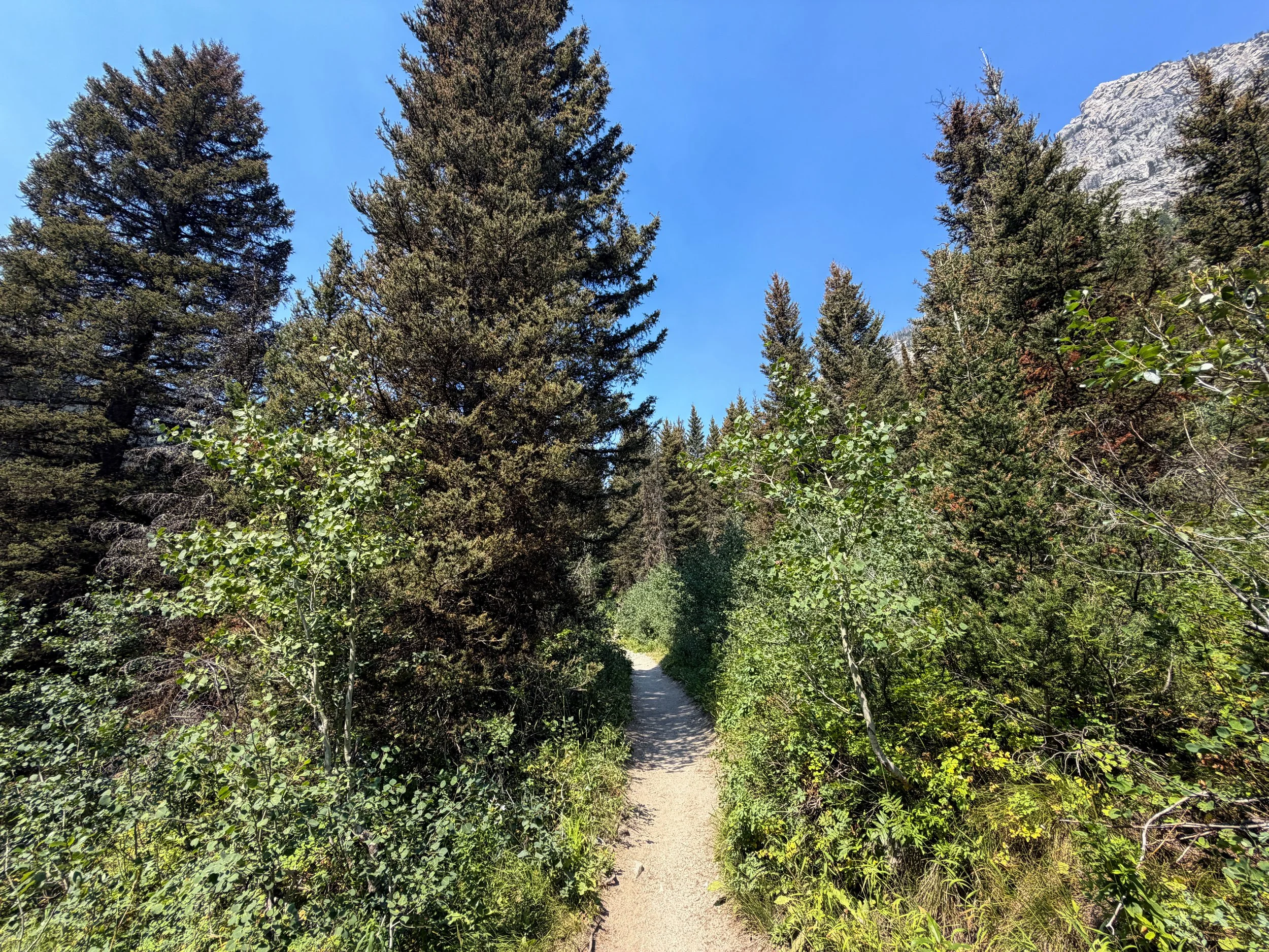 Cascade Canyon Trail Grand Teton National Park Wyoming
