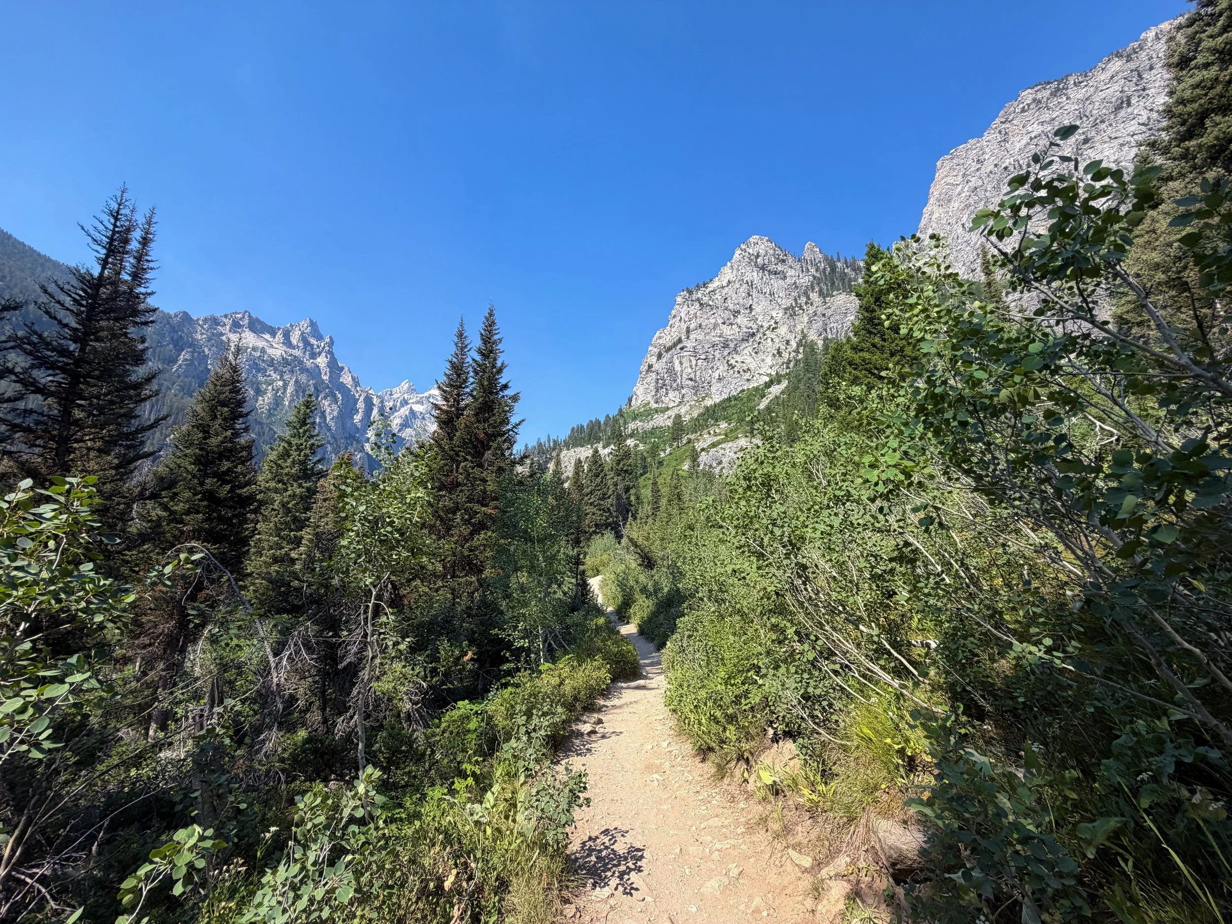 Inspiration Point Trail Grand Teton National Park Wyoming