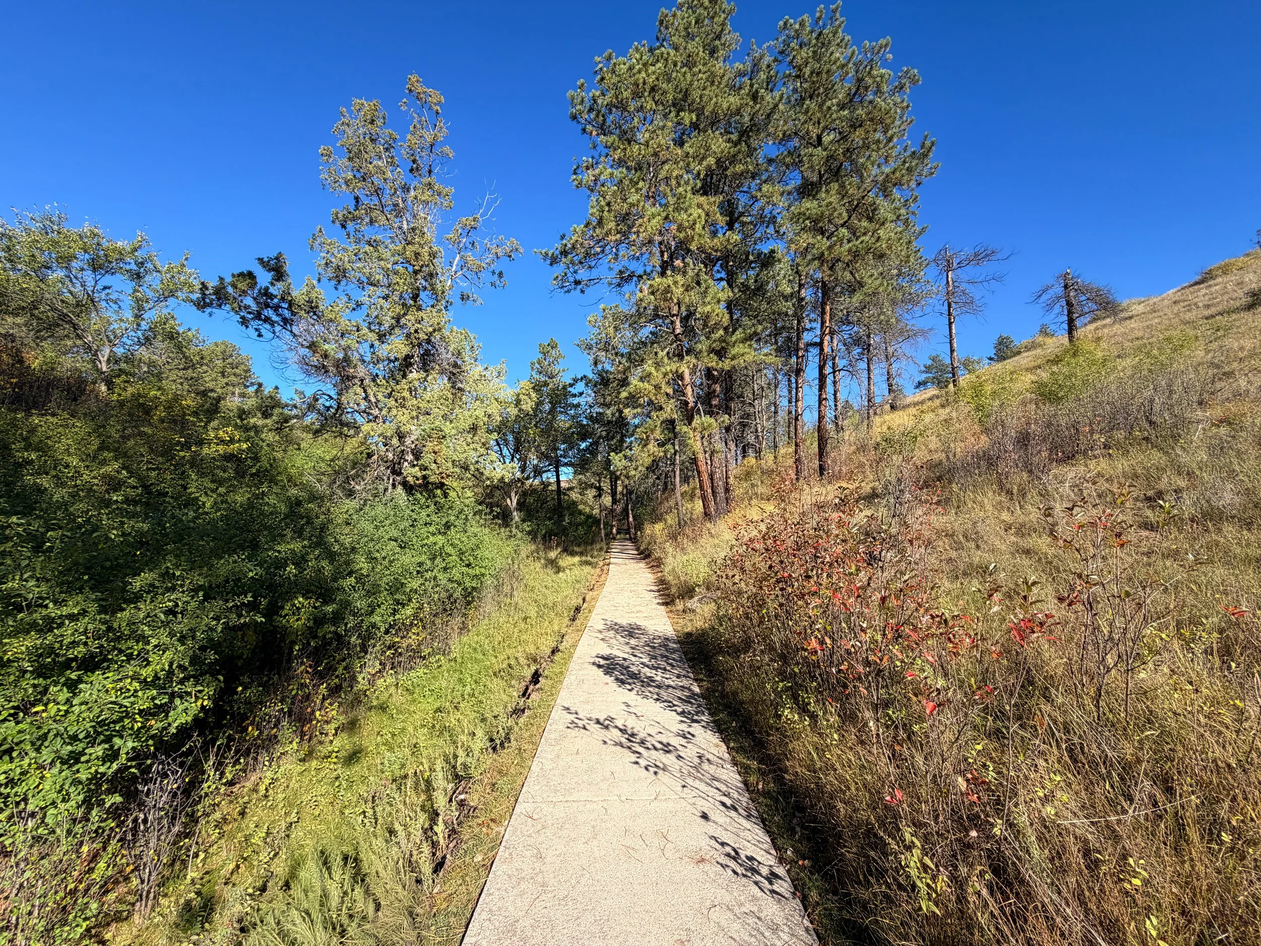 Prairie Vista Trail Wind Cave National Park South Dakota