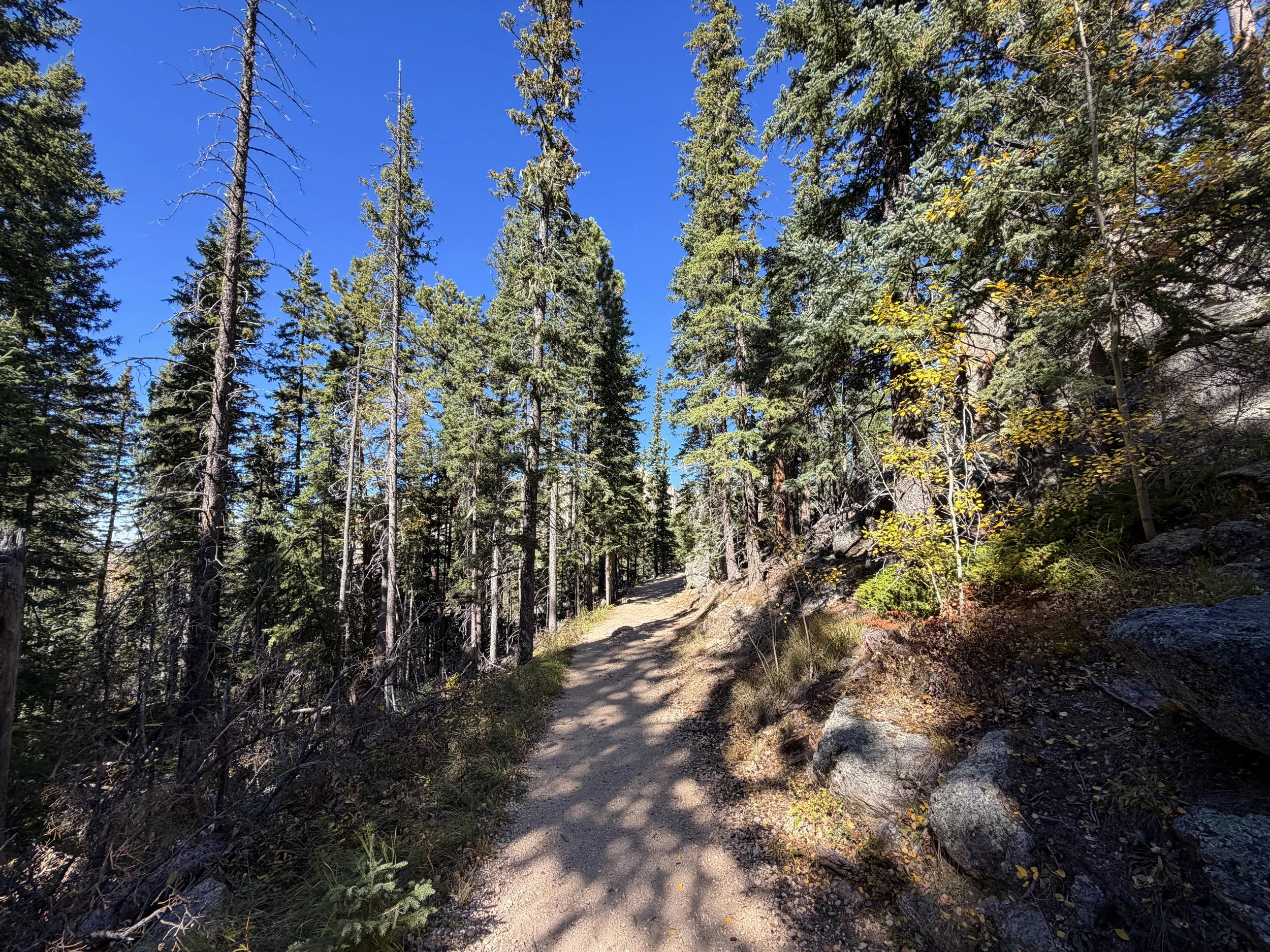 Black Elk Peak Trail Custer State Park Black Hills South Dakota