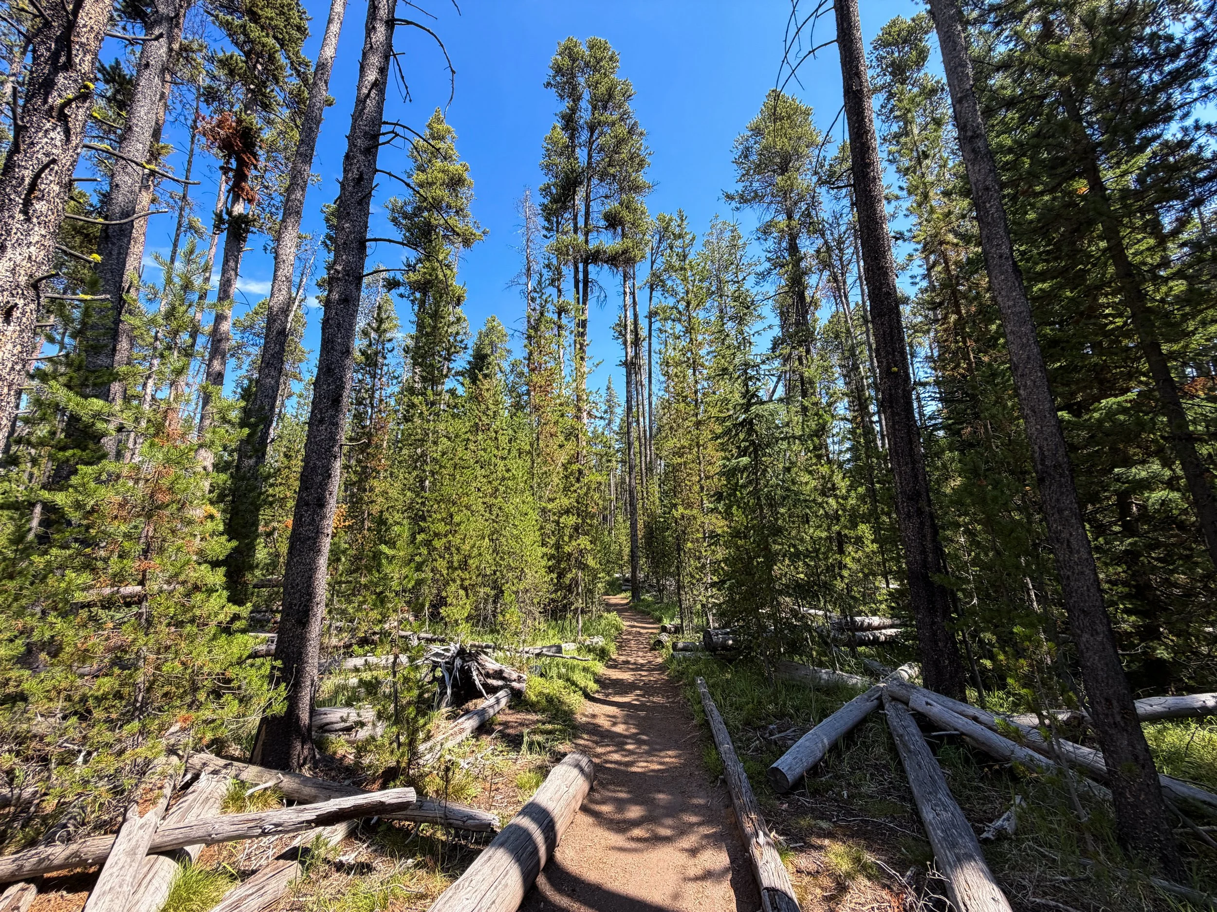 Storm Point Loop Trail Yellowstone National Park Wyoming
