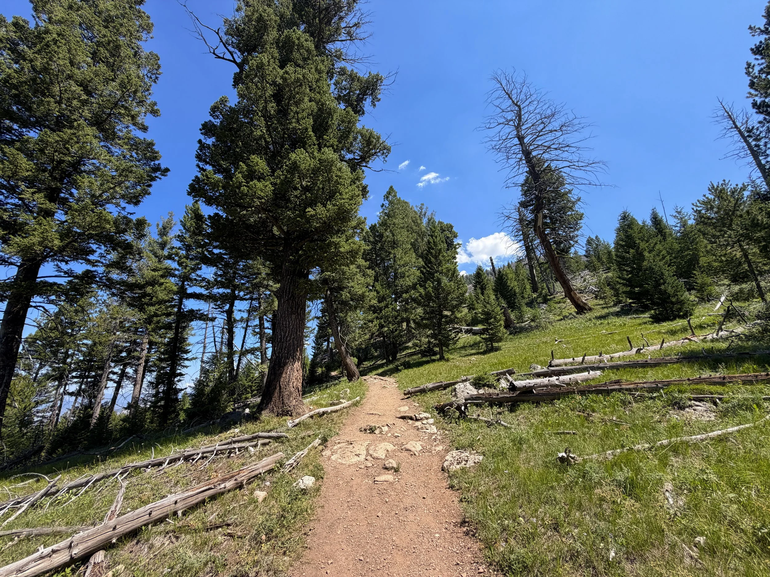 Bunsen Peak Trail Yellowstone National Park Wyoming