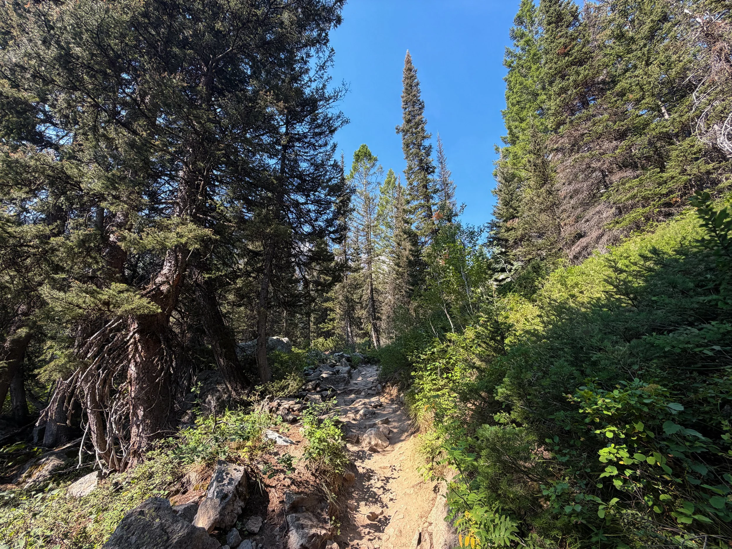 Inspiration Point Trail Grand Teton National Park Wyoming