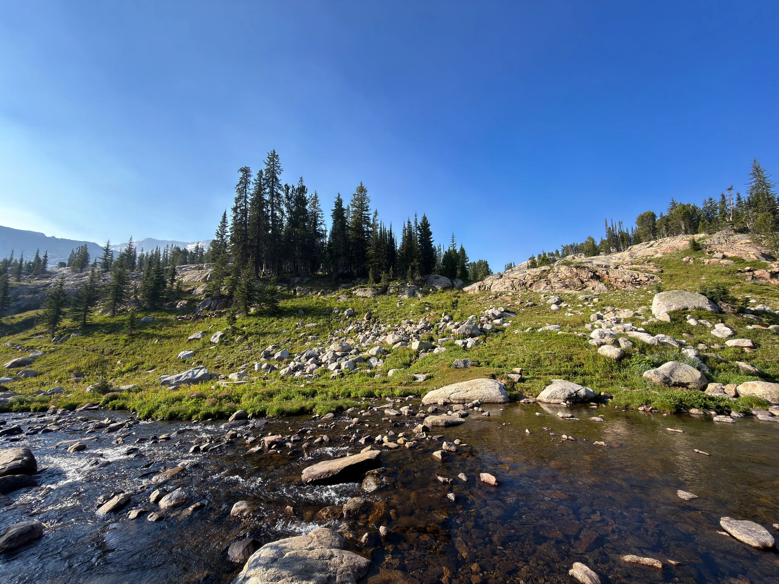 Beaten Path Hike Beartooth Mountains Montana