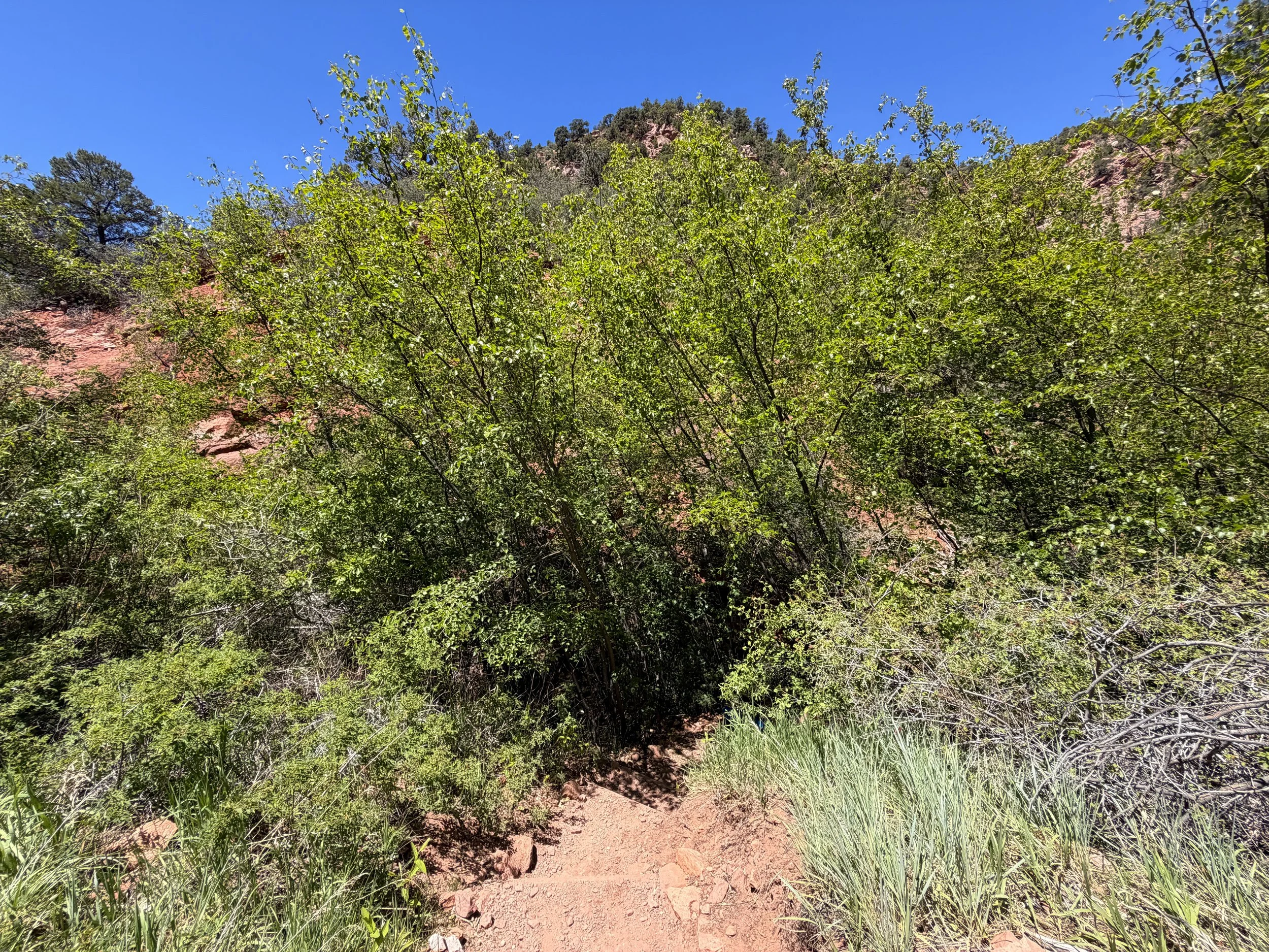 Kanarra Falls Trail Kanarraville Utah