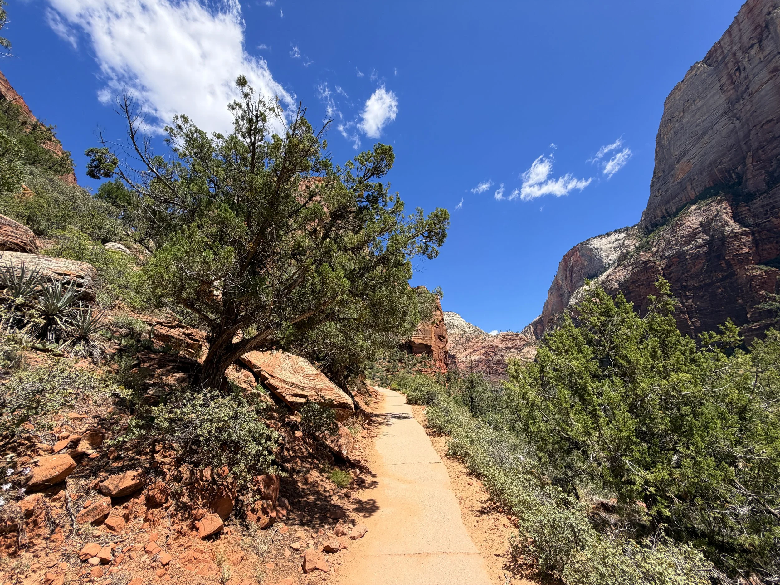 Angels Landing Hike Zion National Park Utah