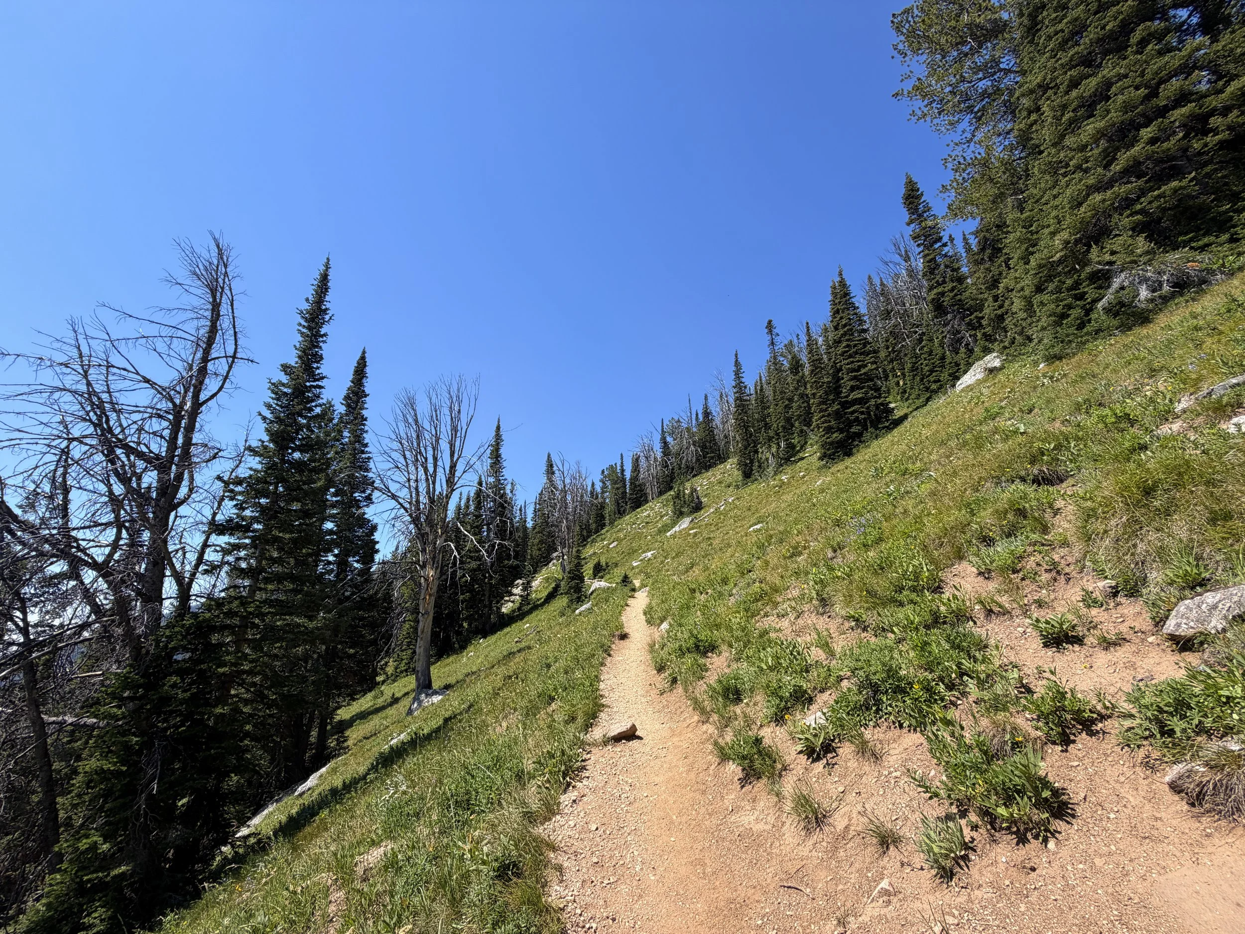 Surprise and Amphitheater Lakes Trail Grand Teton National Park Wyoming