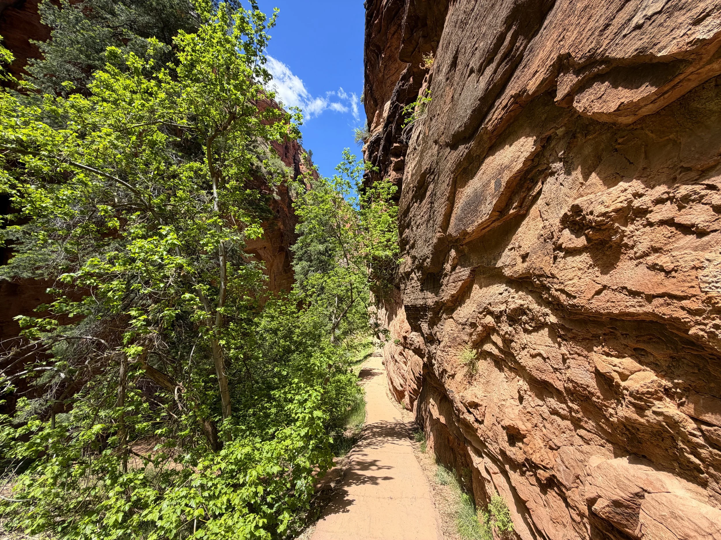 Angels Landing Hike Zion National Park Utah