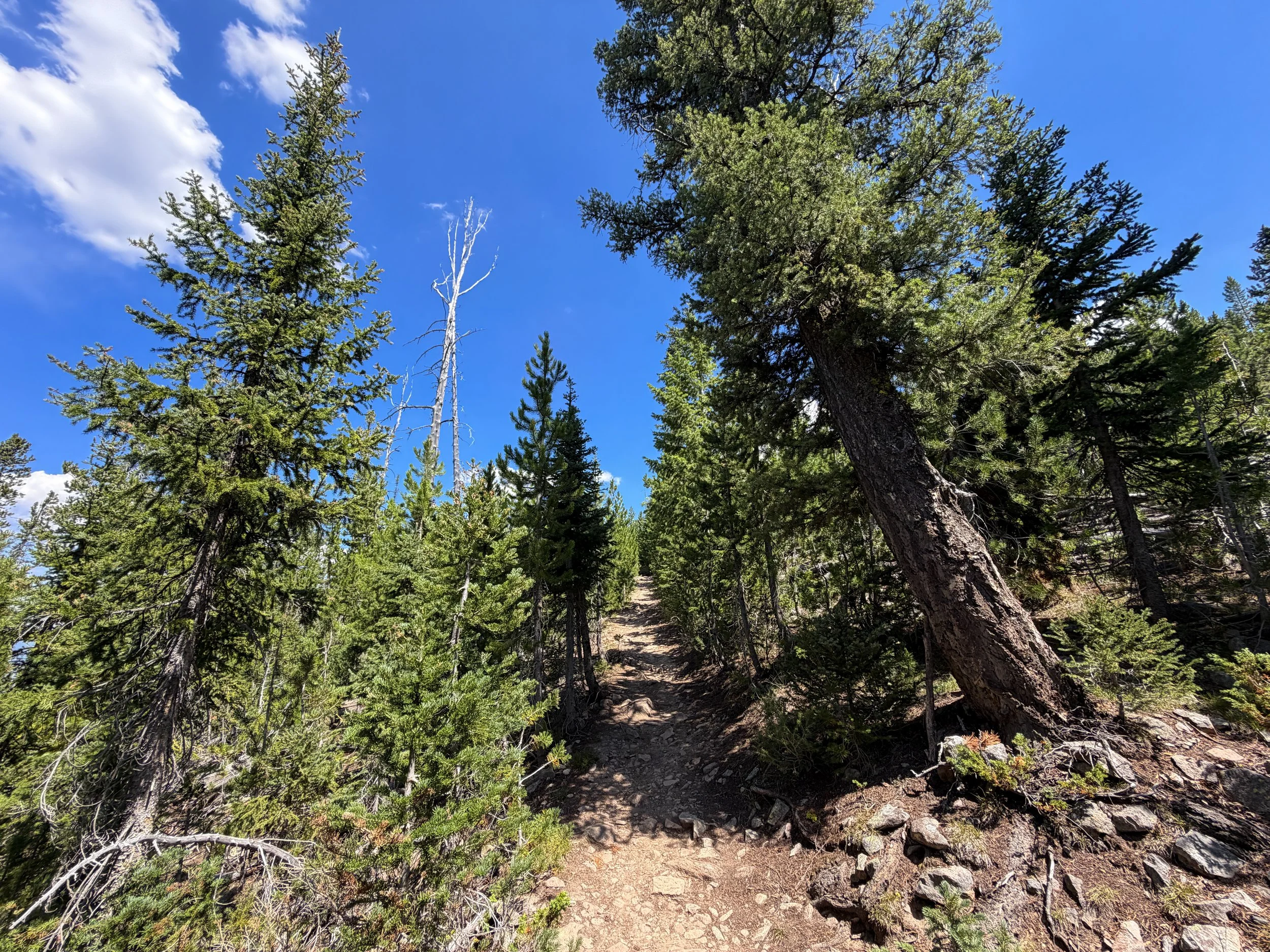Bunsen Peak Trail Yellowstone National Park Wyoming