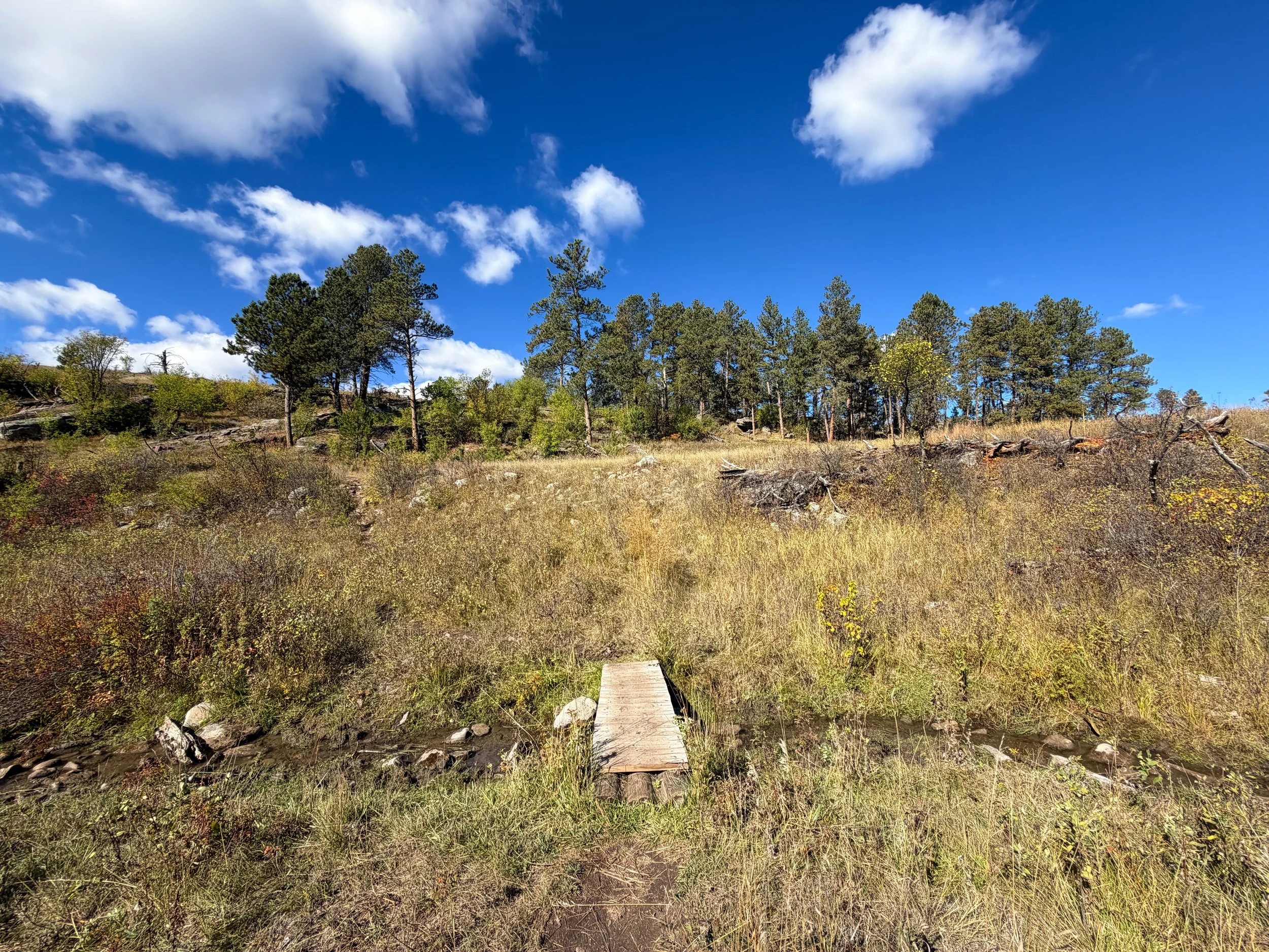 Lookout Point Loop Trail Wind Cave National Park South Dakota