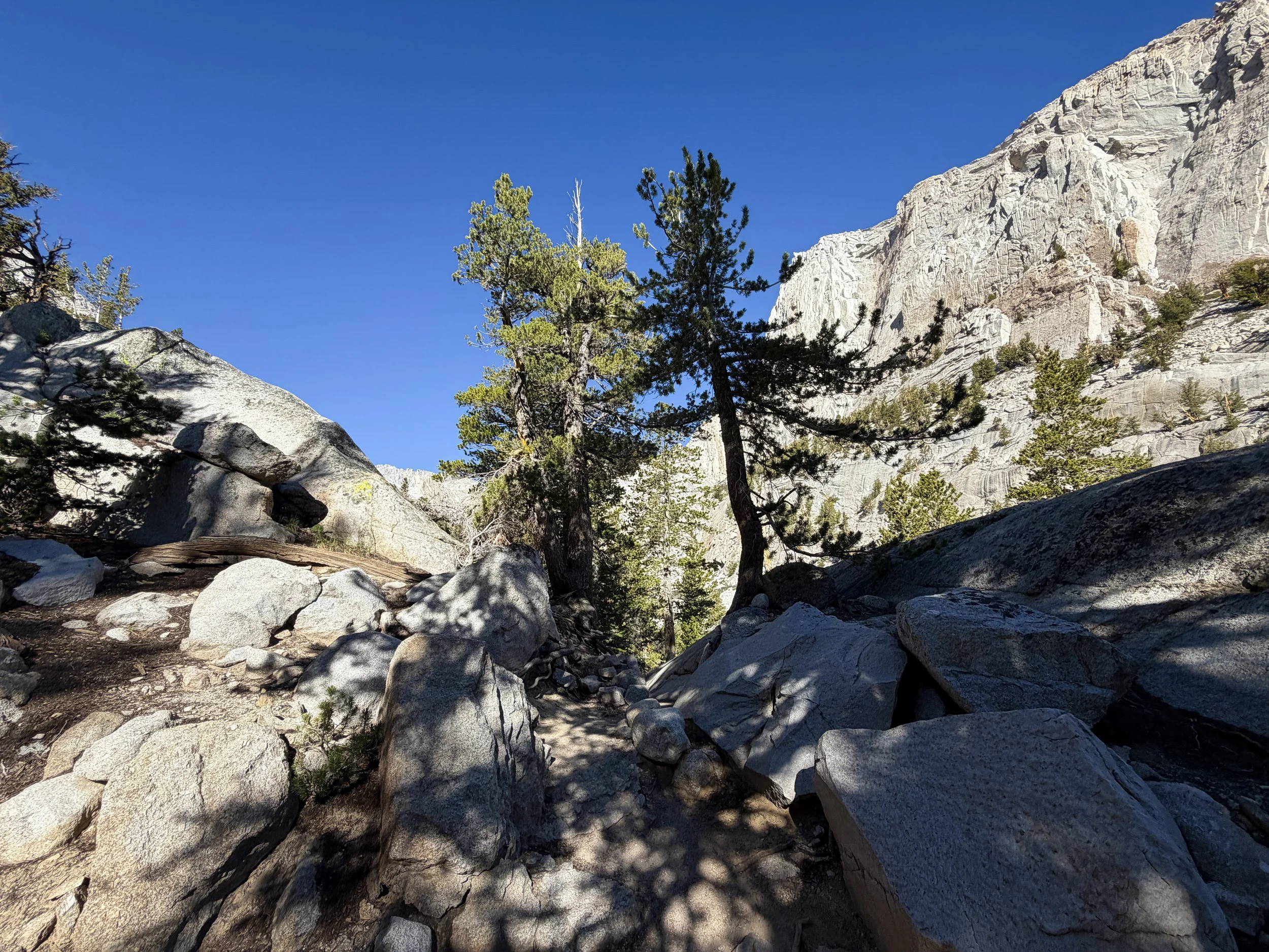 Mount Whitney Trail California
