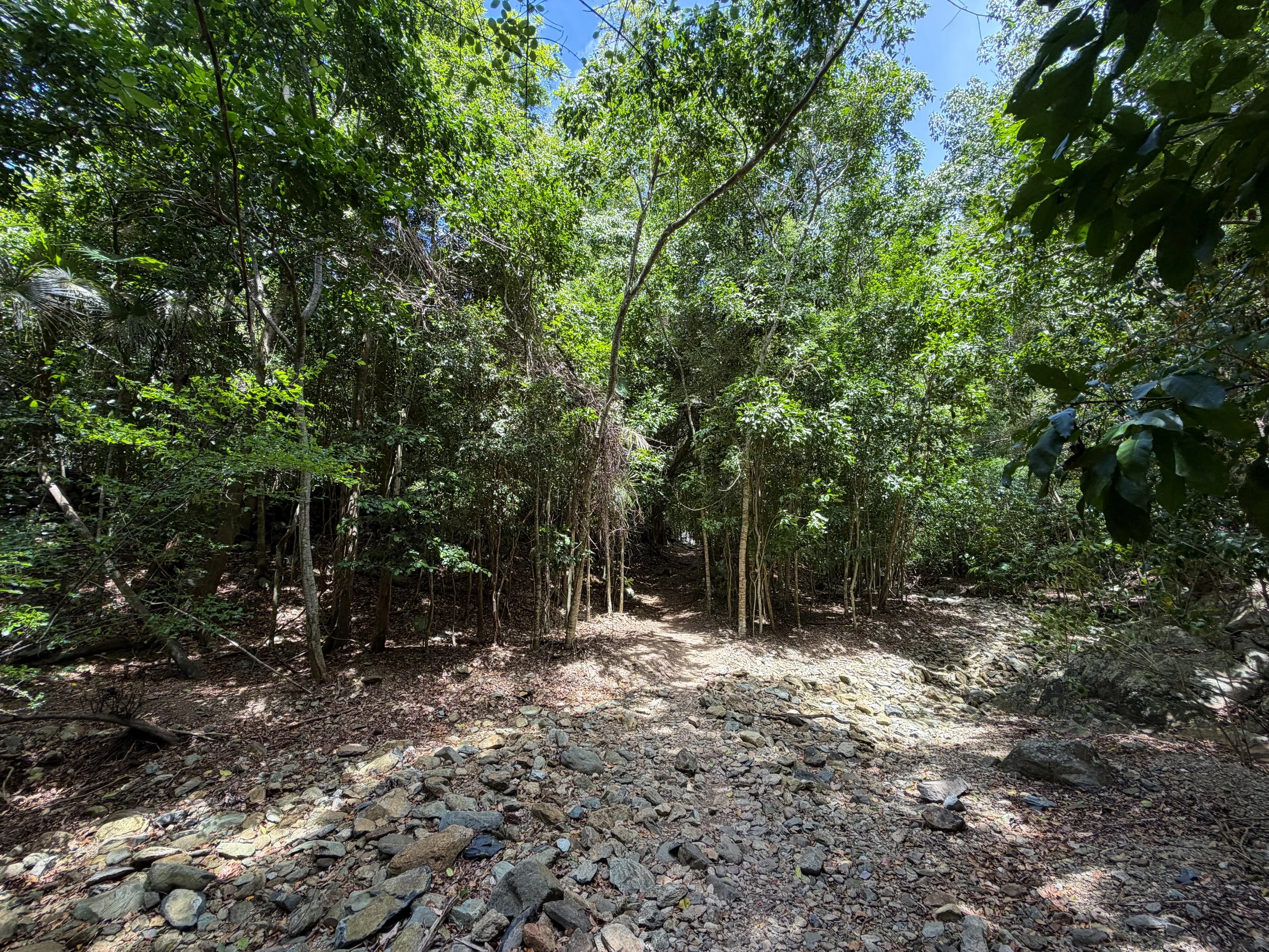 Petroglyphs Trail Virgin Islands National Park