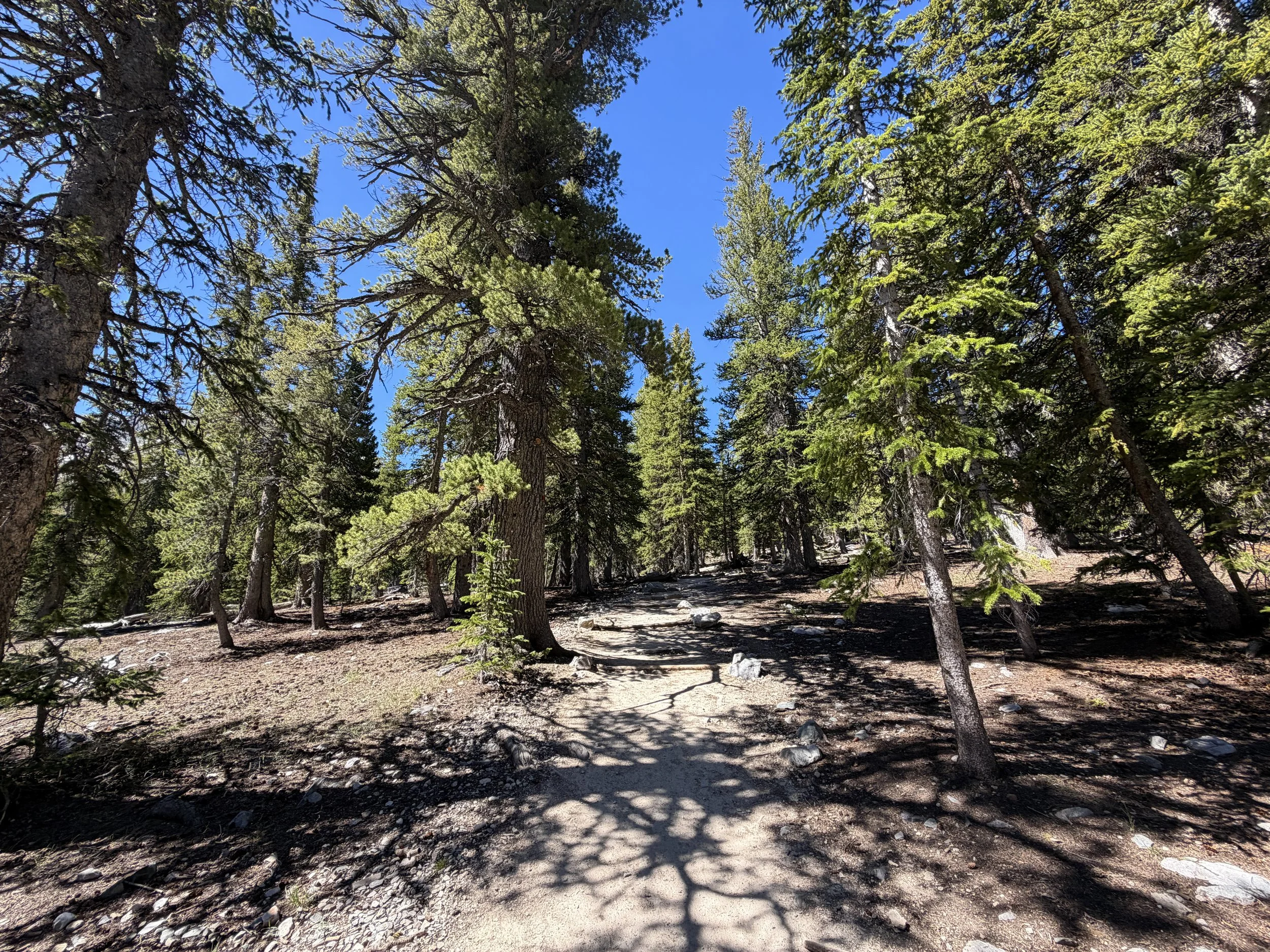 Alpine Lakes Loop Trail Great Basin National Park Nevada
