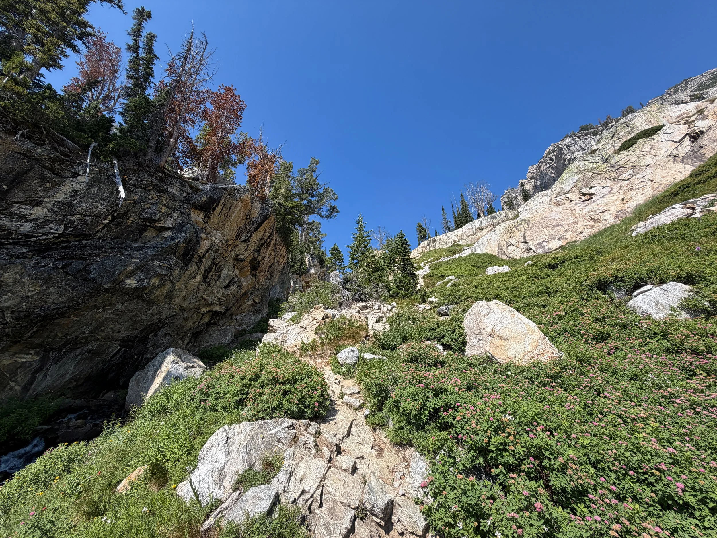 Lake of the Crags Trail Grand Teton National Park Wyoming