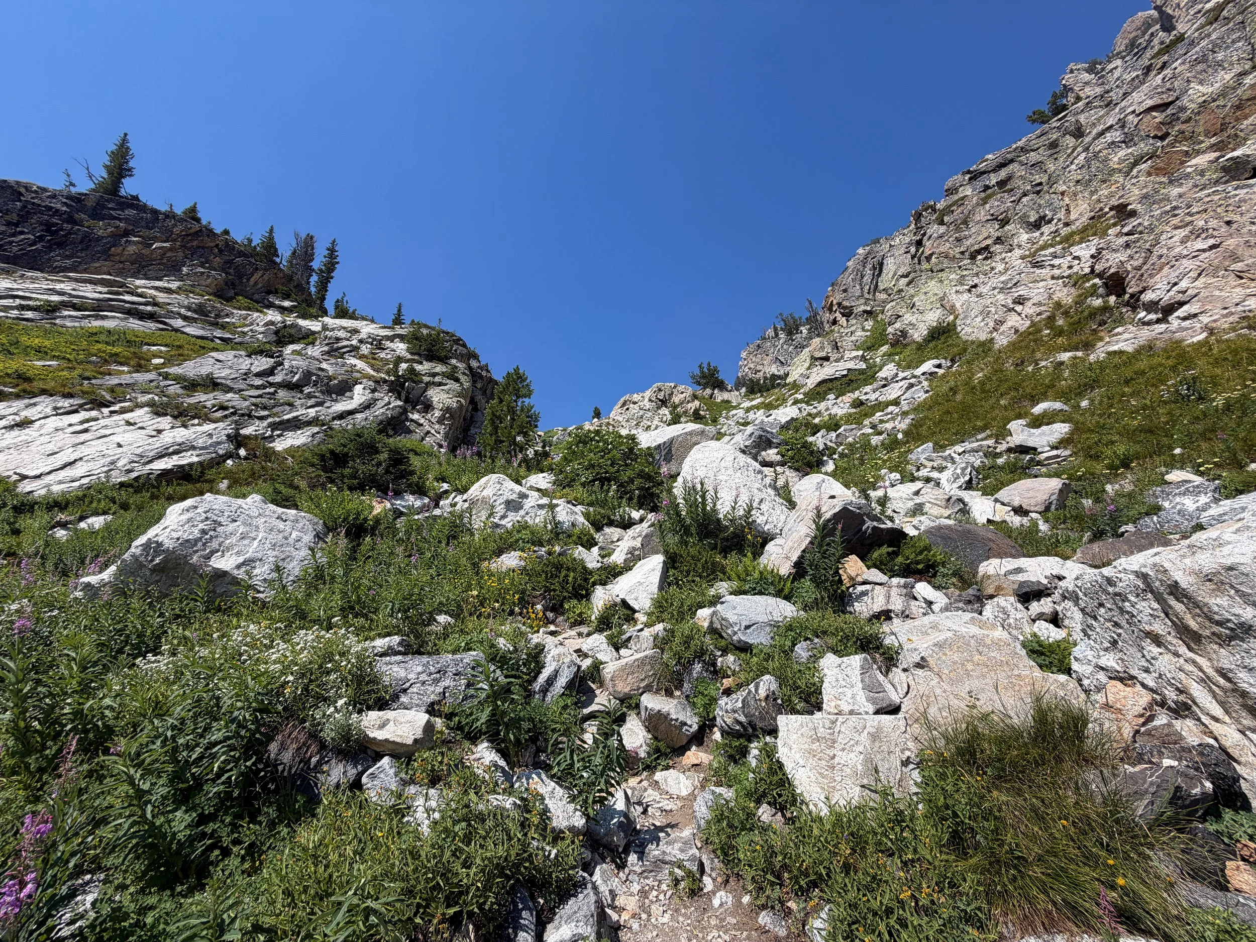 Lake of the Crags Trail Grand Teton National Park Wyoming