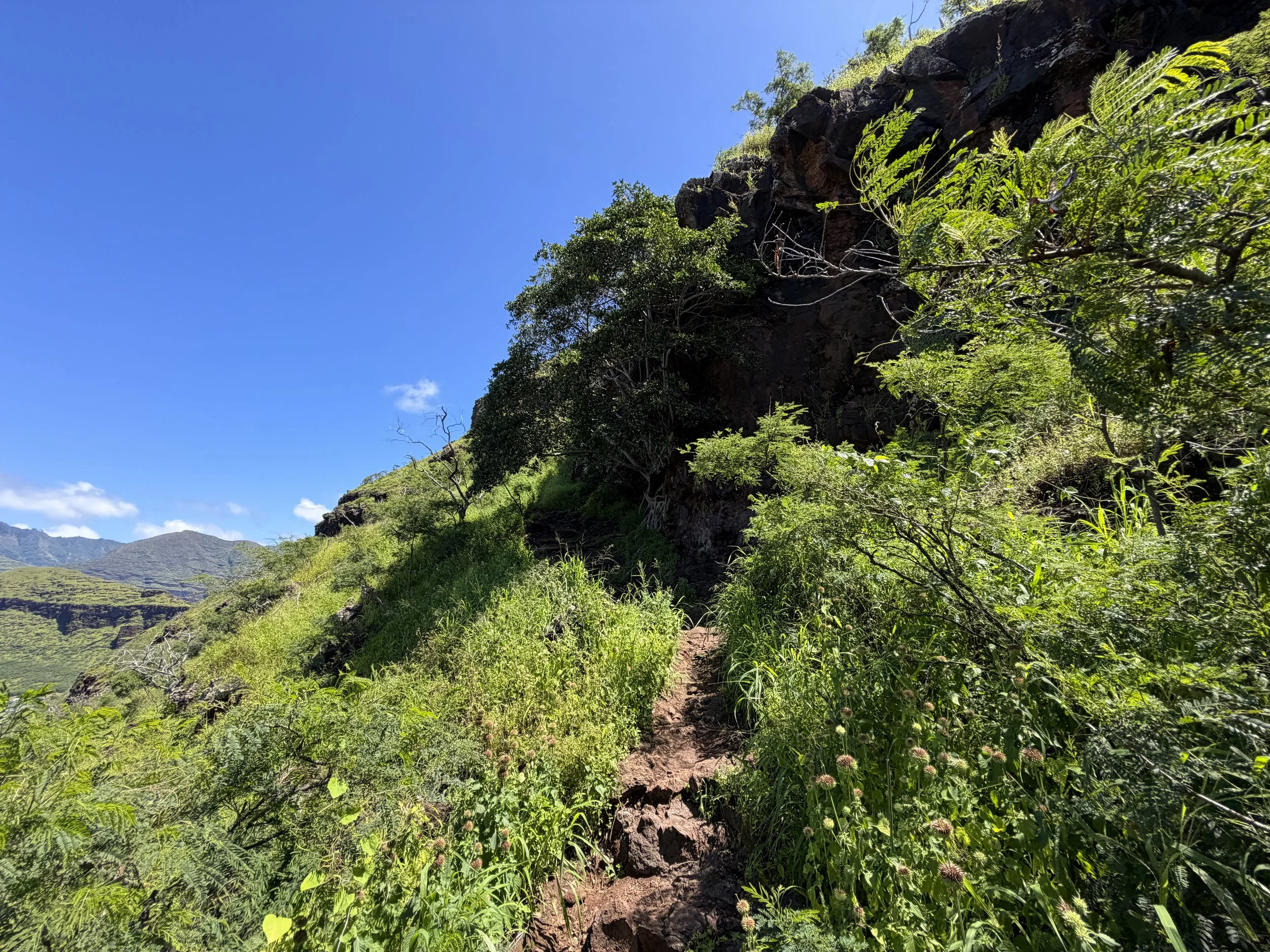 Puu O Hulu Hike Oahu Hawaii