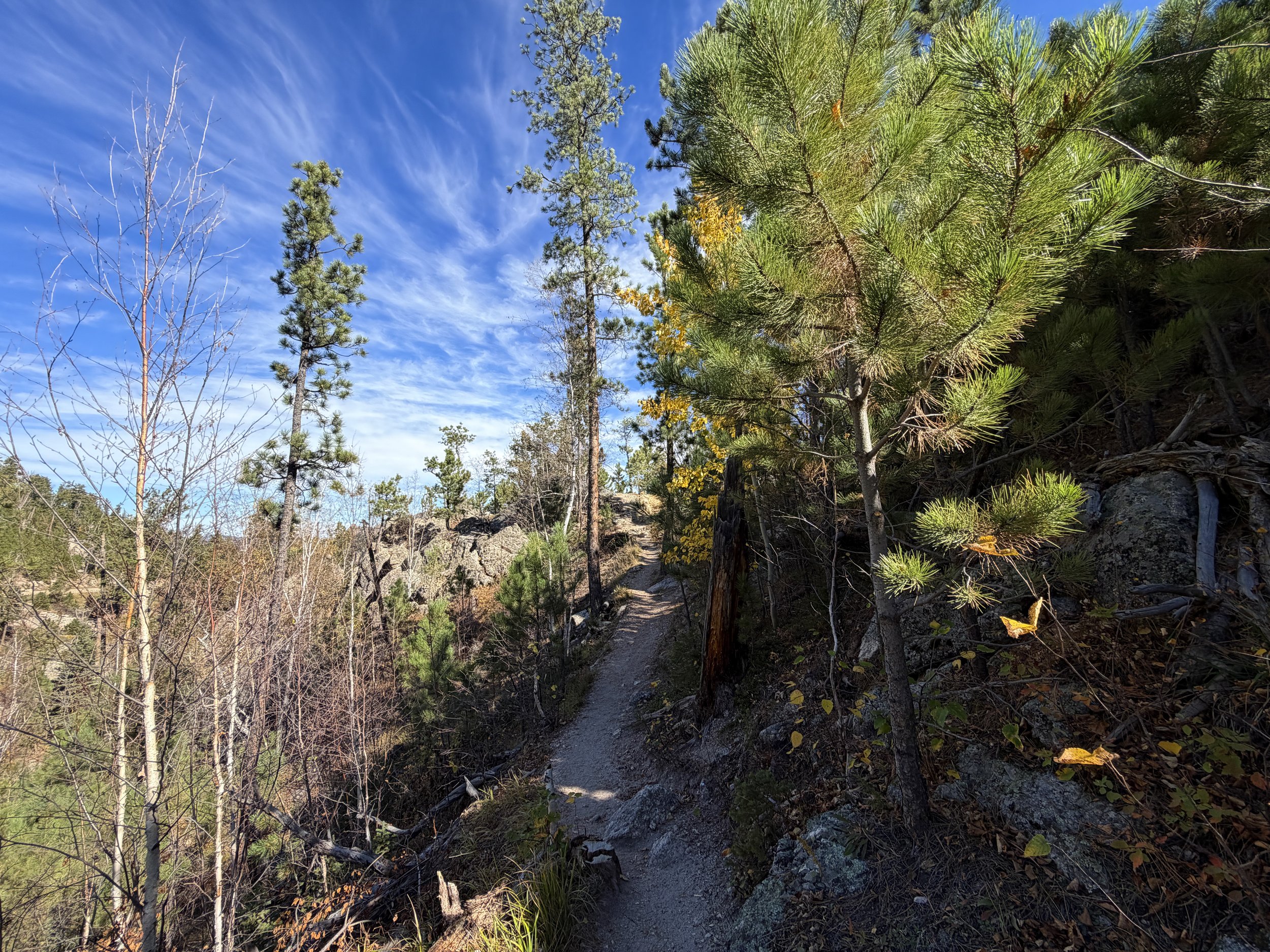 Sunday Gulch Trail Custer State Park Black Hills South Dakota