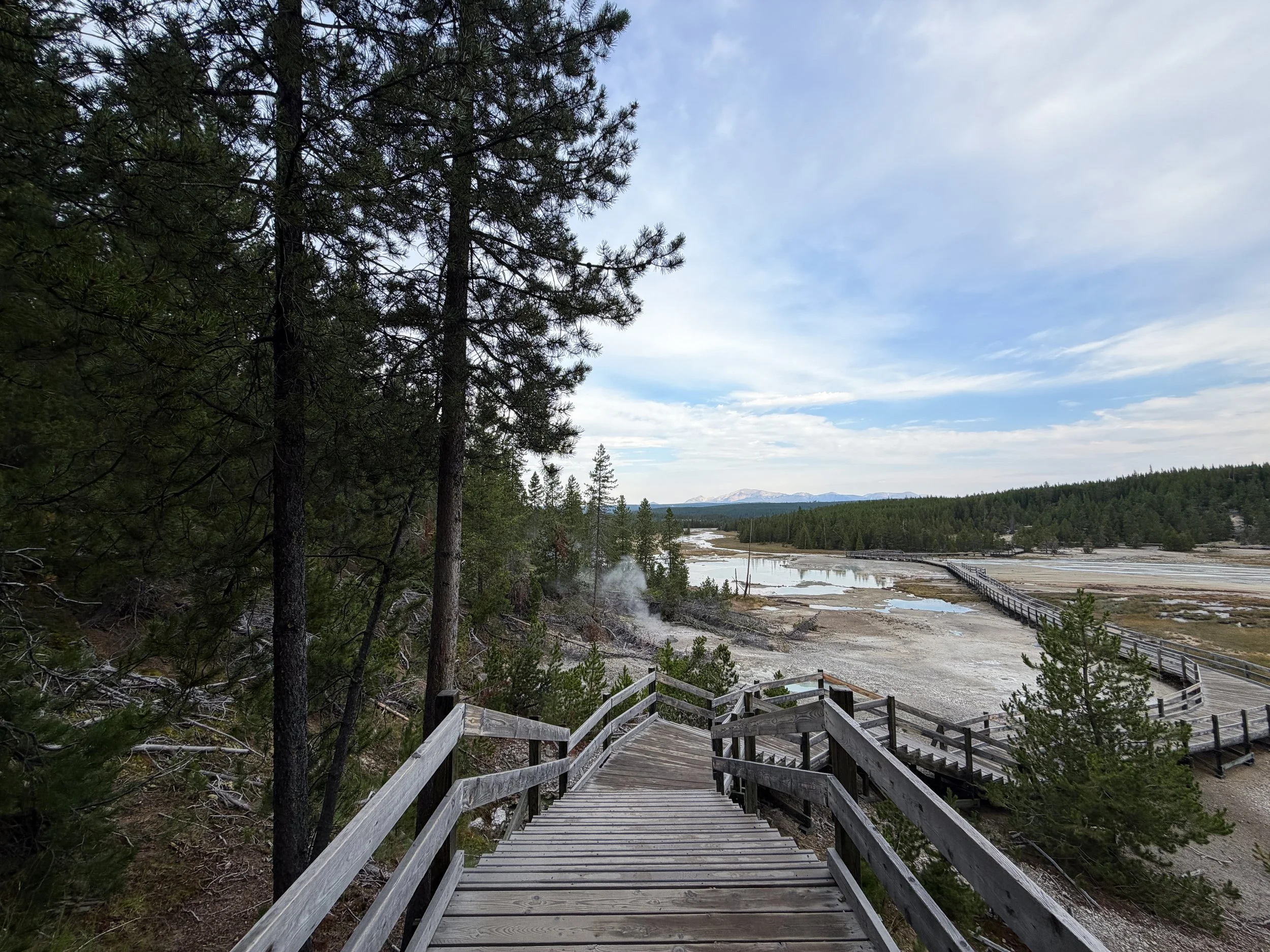 Porcelain Basin Norris Geyser Basin Trail Yellowstone National Park Wyoming