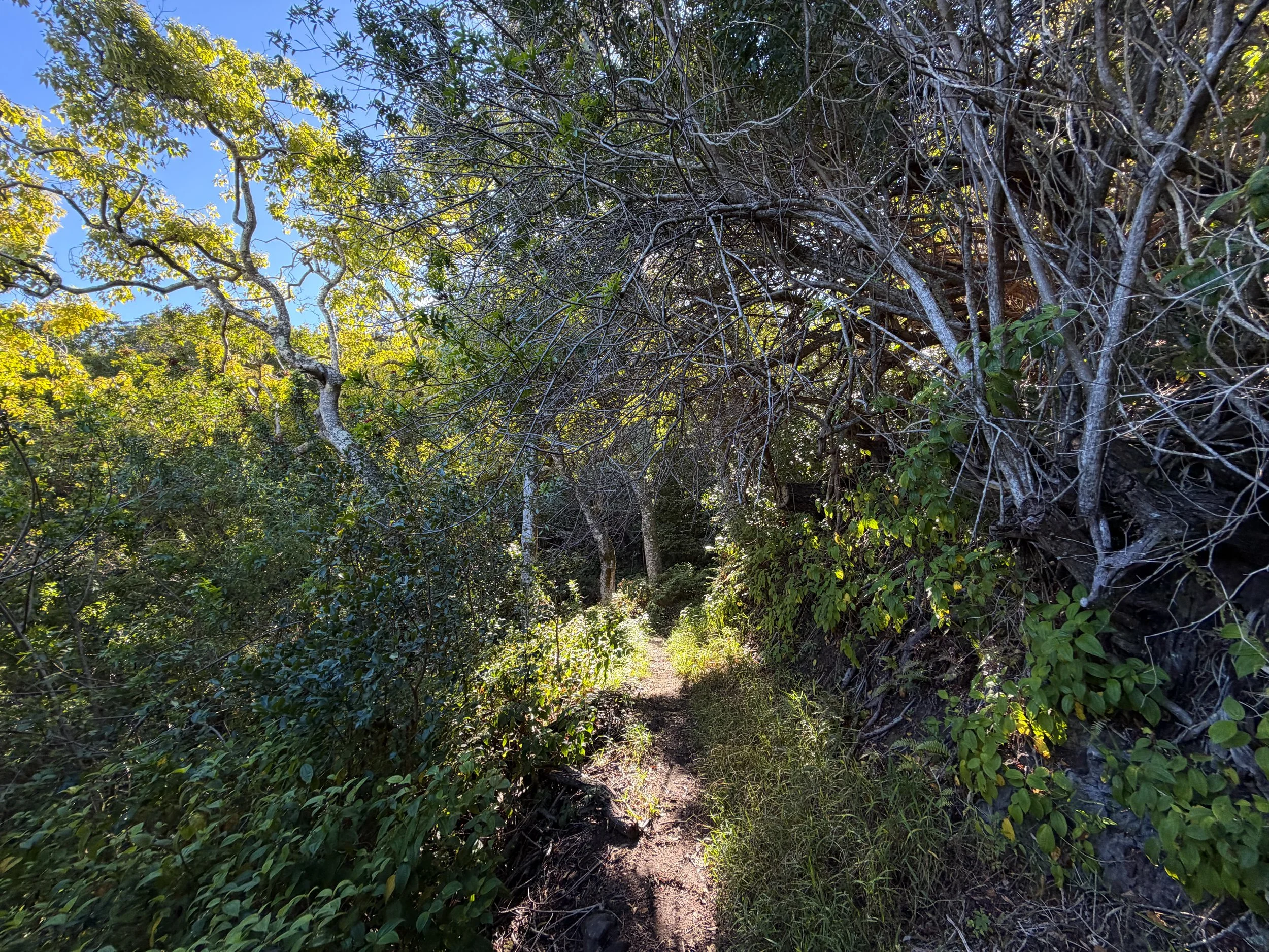 Mokuleia Trail Oahu Hawaii