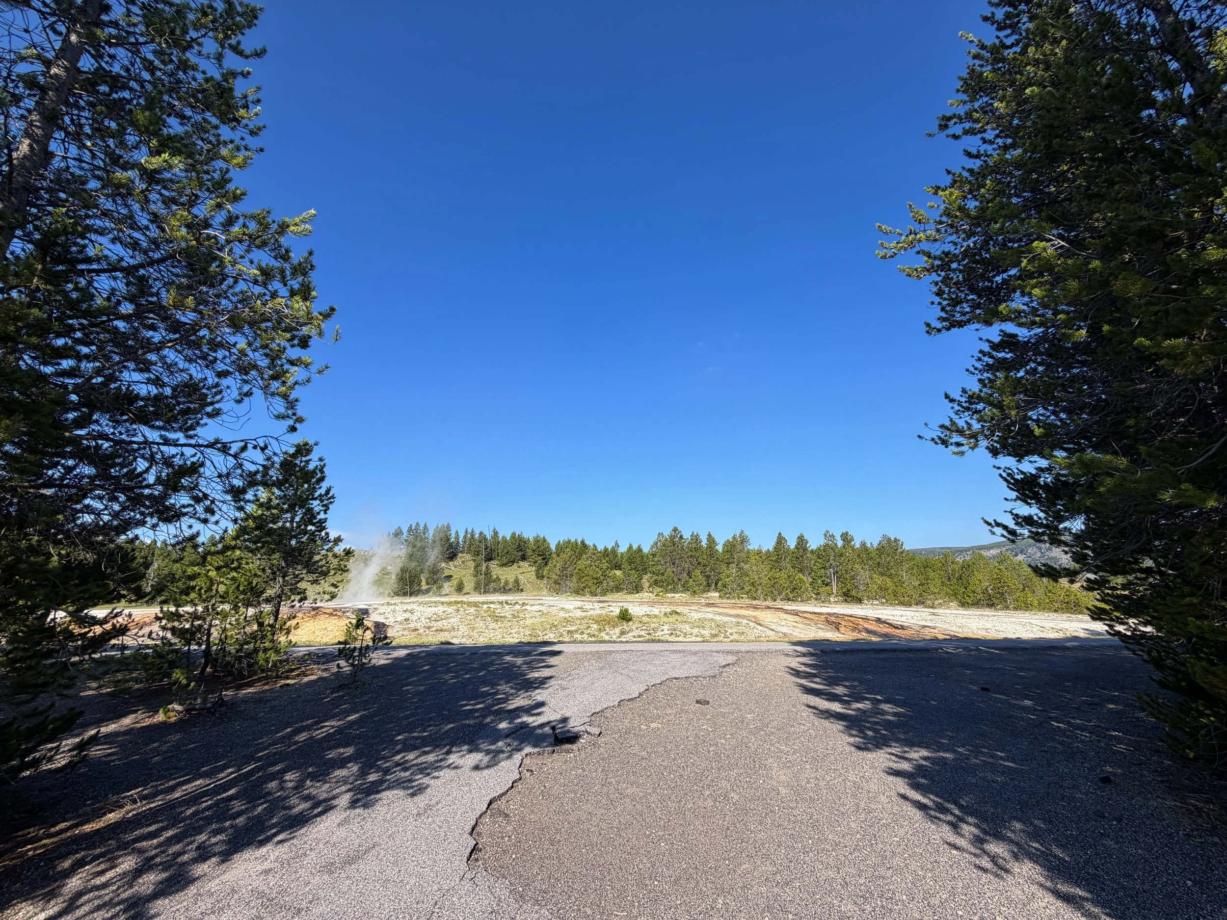 Upper Geyser Basin Trail Yellowstone National Park Wyoming