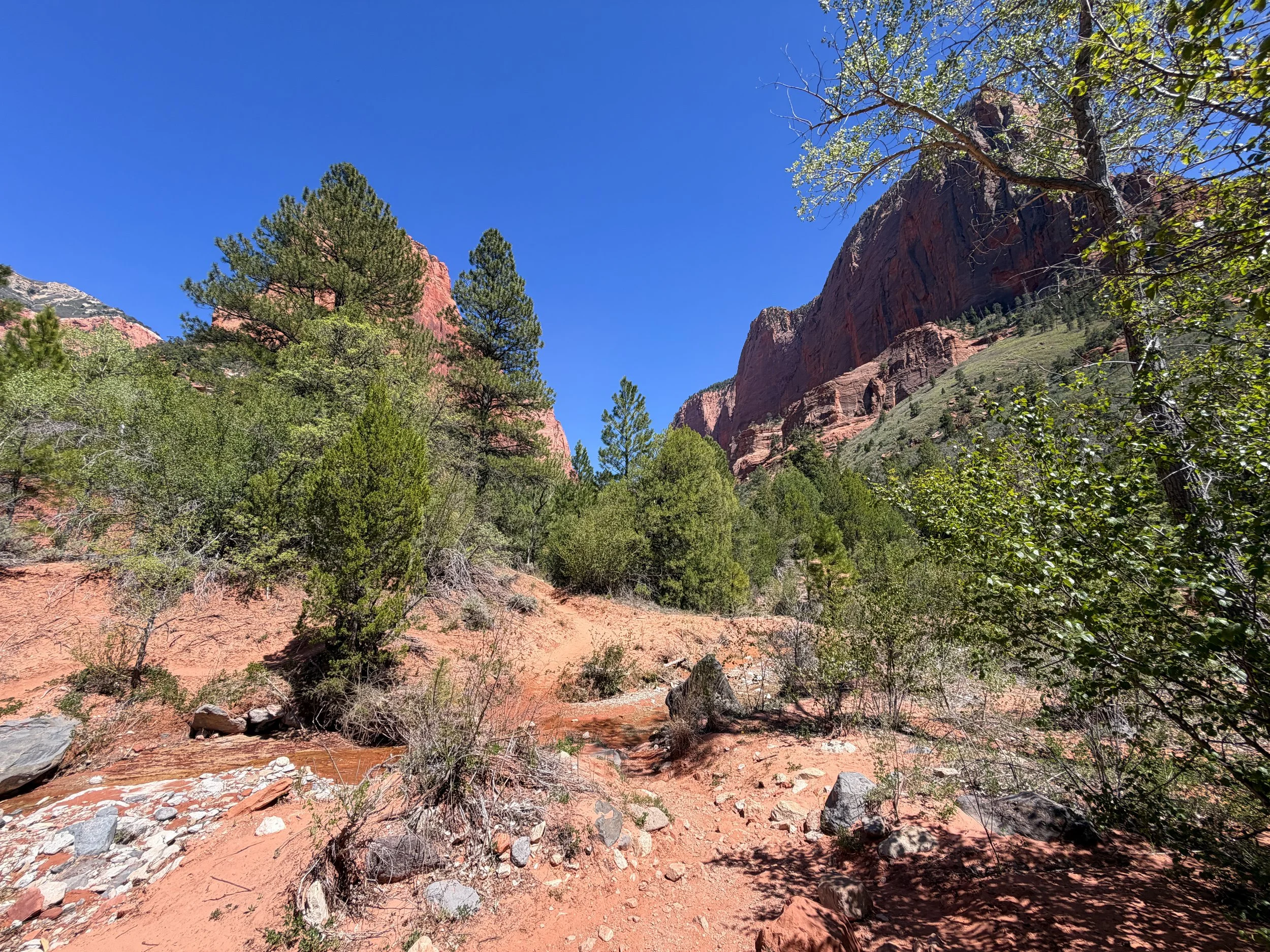 Taylor Creek Trail Zion National Park Utah