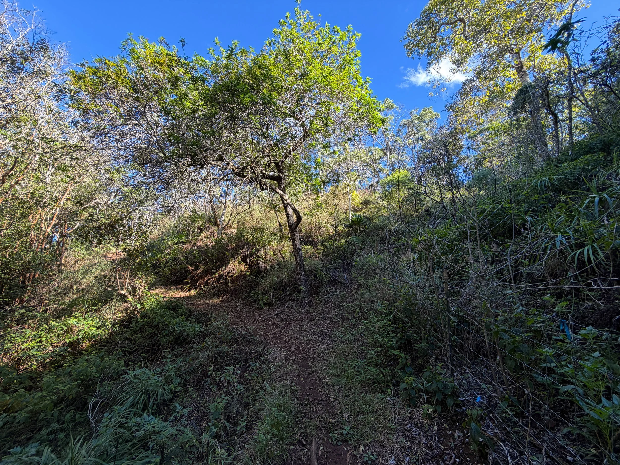 Mokuleia Hike Oahu Hawaii