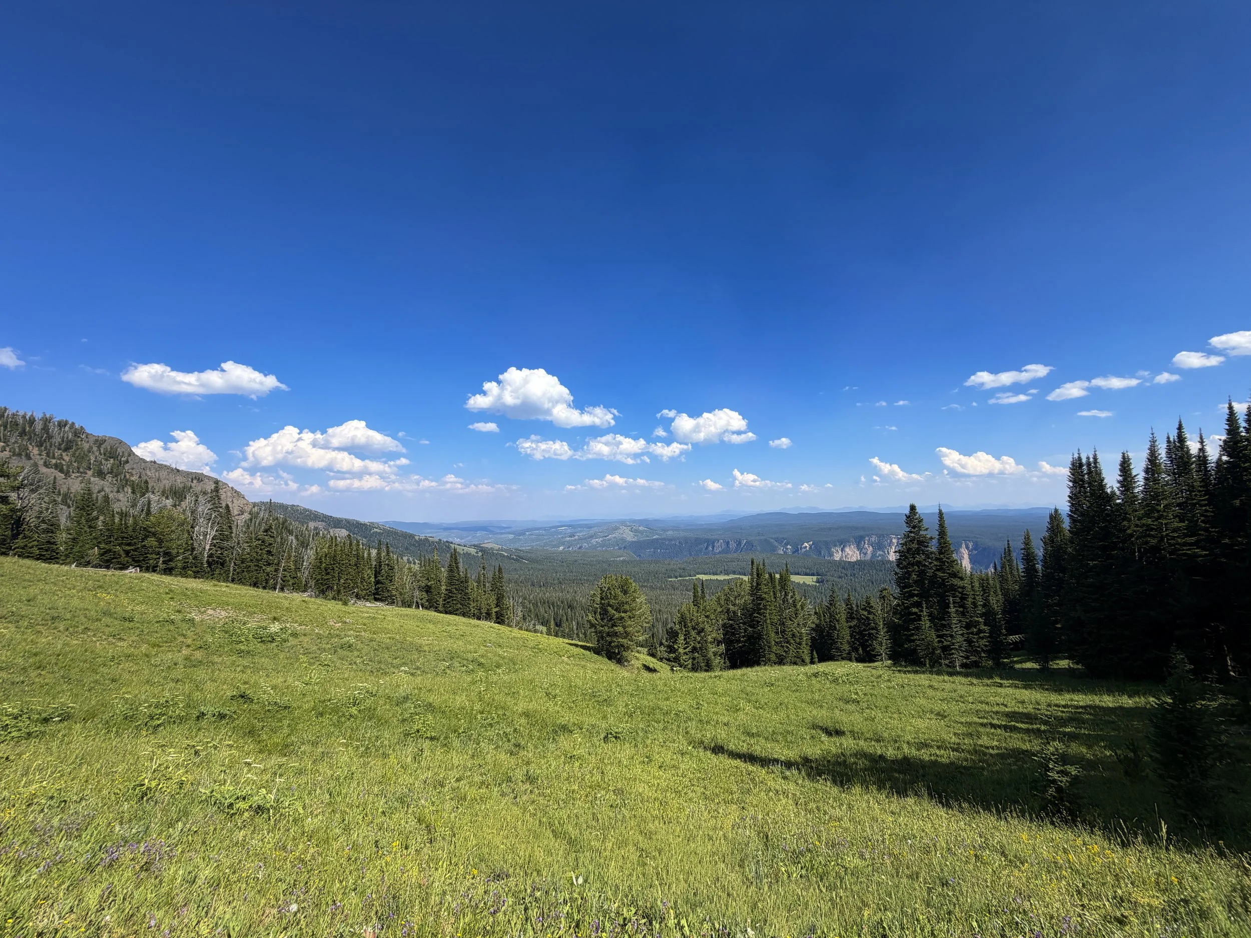 Mount Washburn Trail via Dunraven Pass Yellowstone National Park Wyoming
