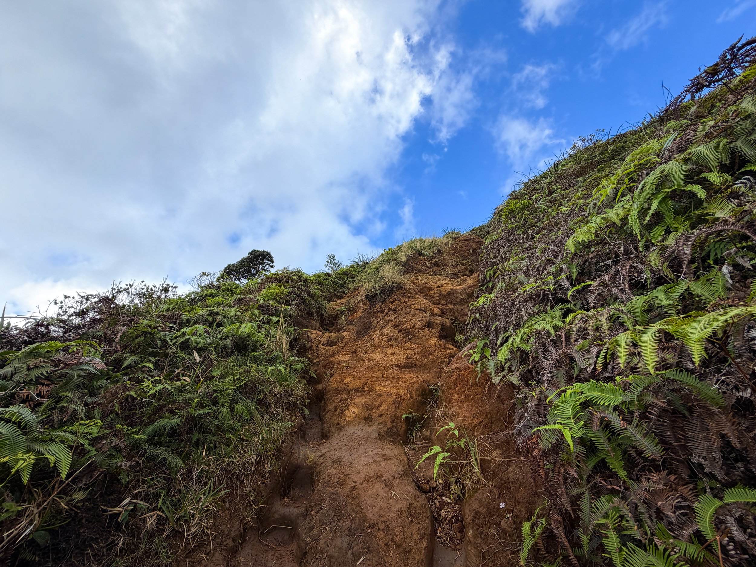 Kaau Crater Trail Oahu Hawaii