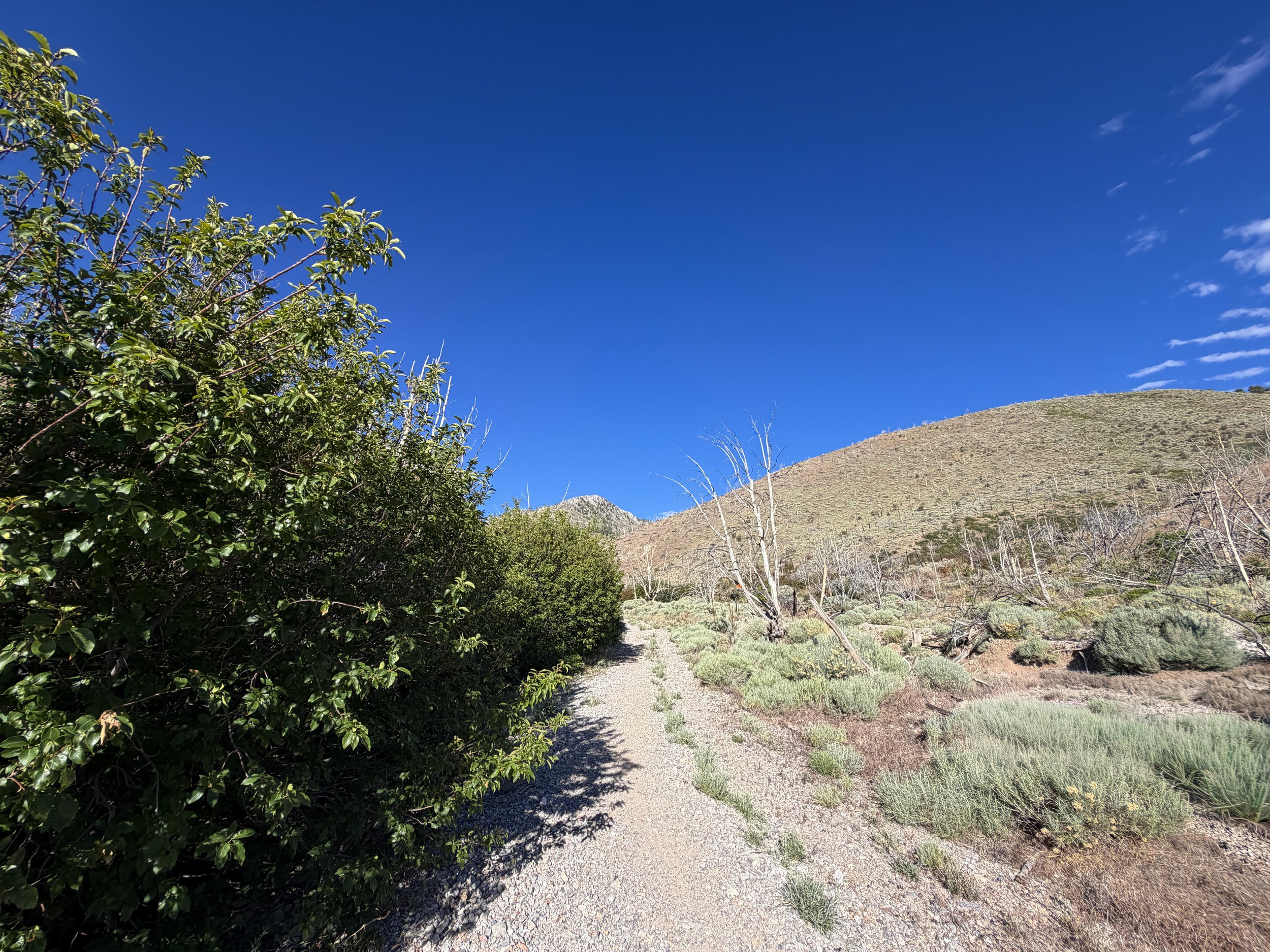 Lexington Arch Trail Great Basin National Park Nevada