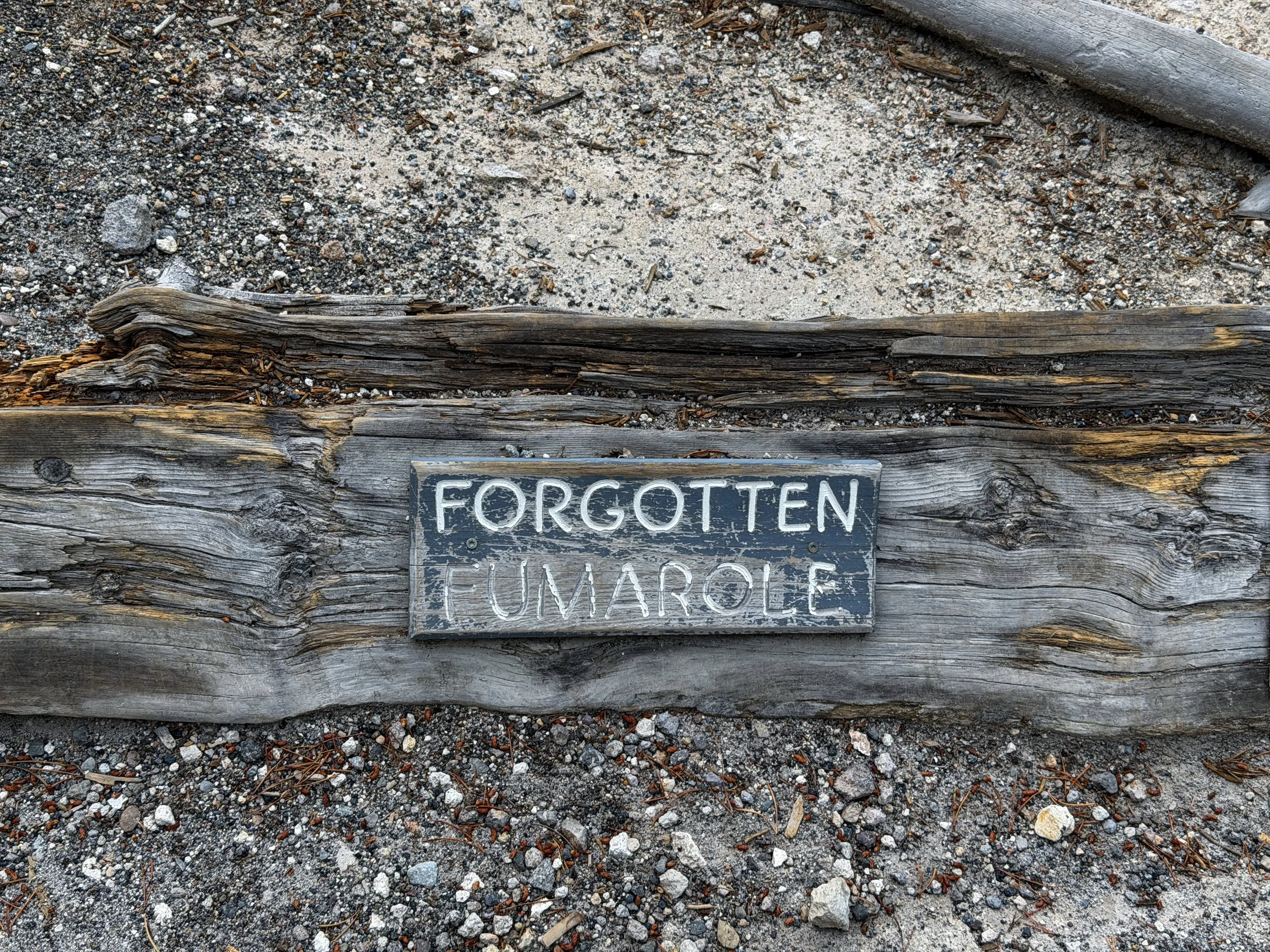 Forgotten Fumarole Norris Geyser Basin Trail Yellowstone National Park Wyoming