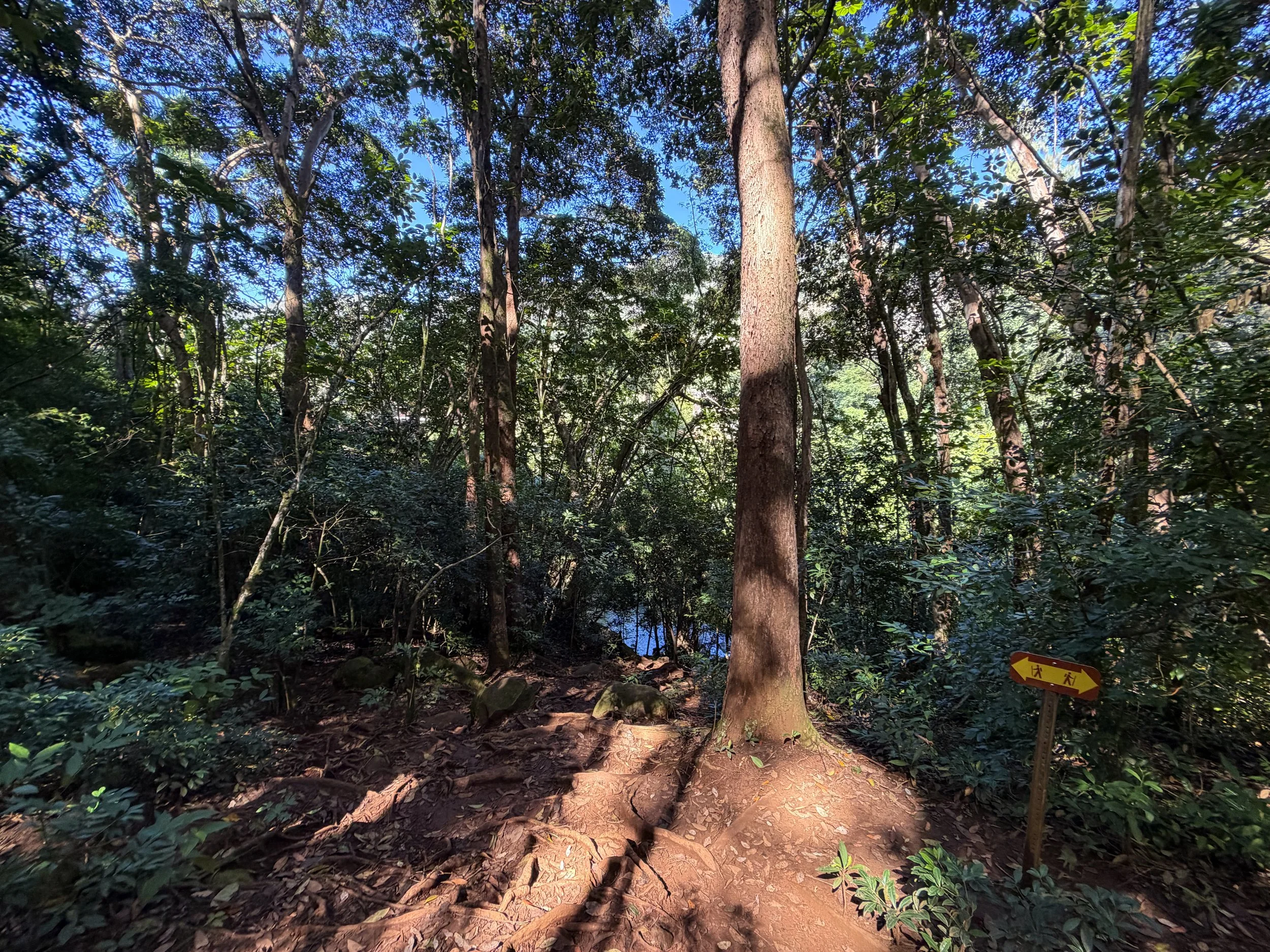 Jackass Ginger Pool Trail Oahu Hawaii