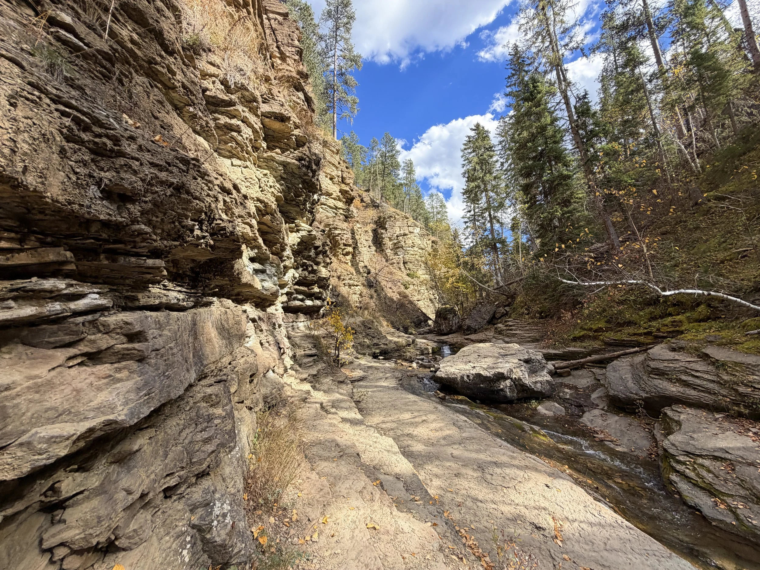 Devils Bathtub Trail Spearfish Canyon Black Hills South Dakota