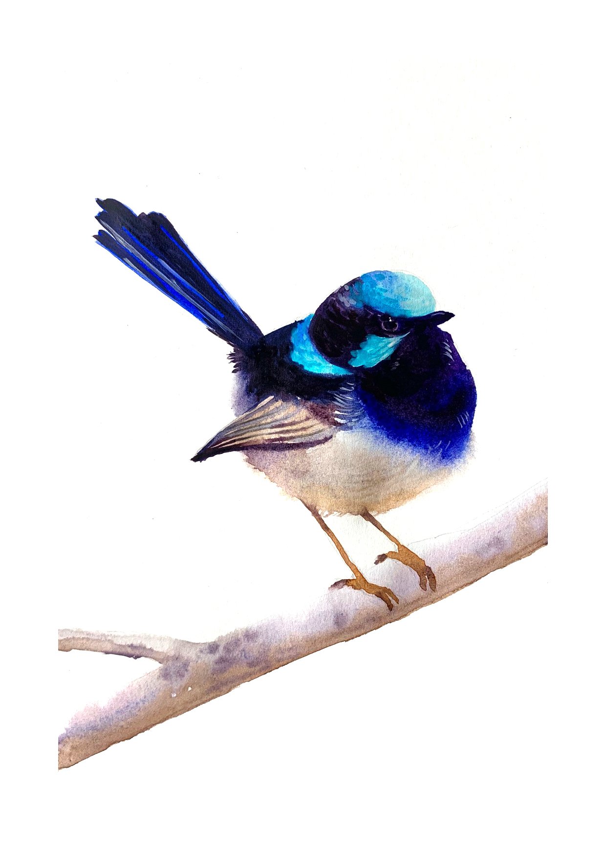 blue bird watercolour.jpg