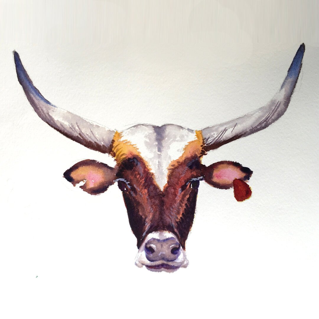 watercolour painting for beginners