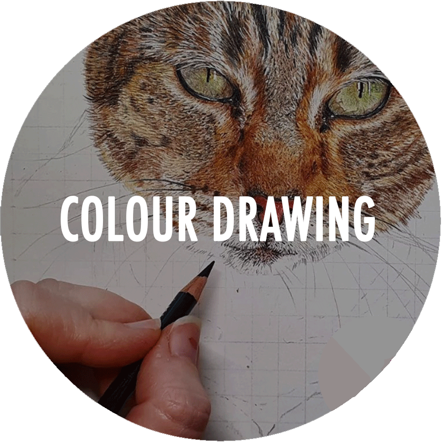 COLOUR DRAWING CLASS