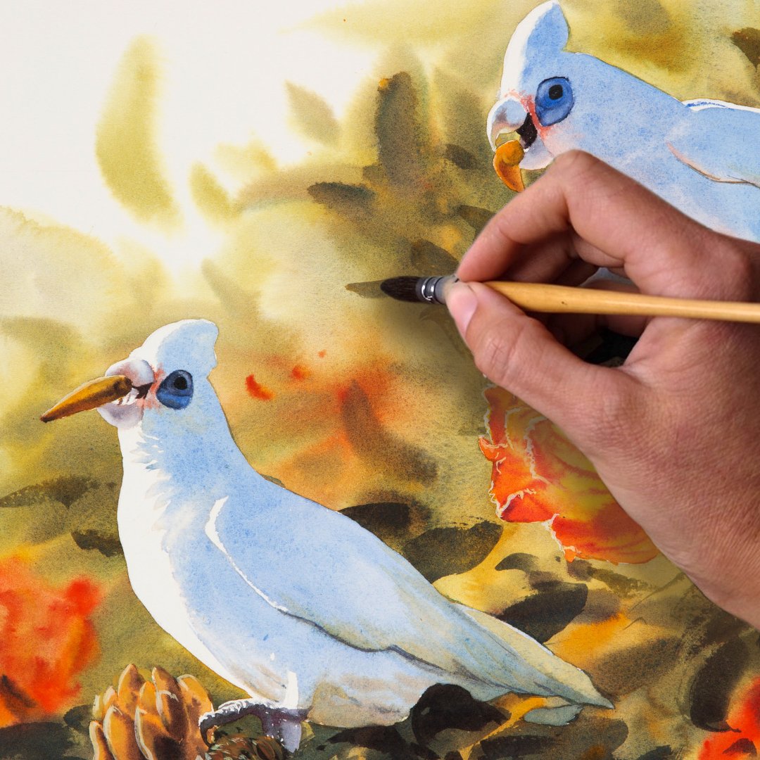 corella study.jpg