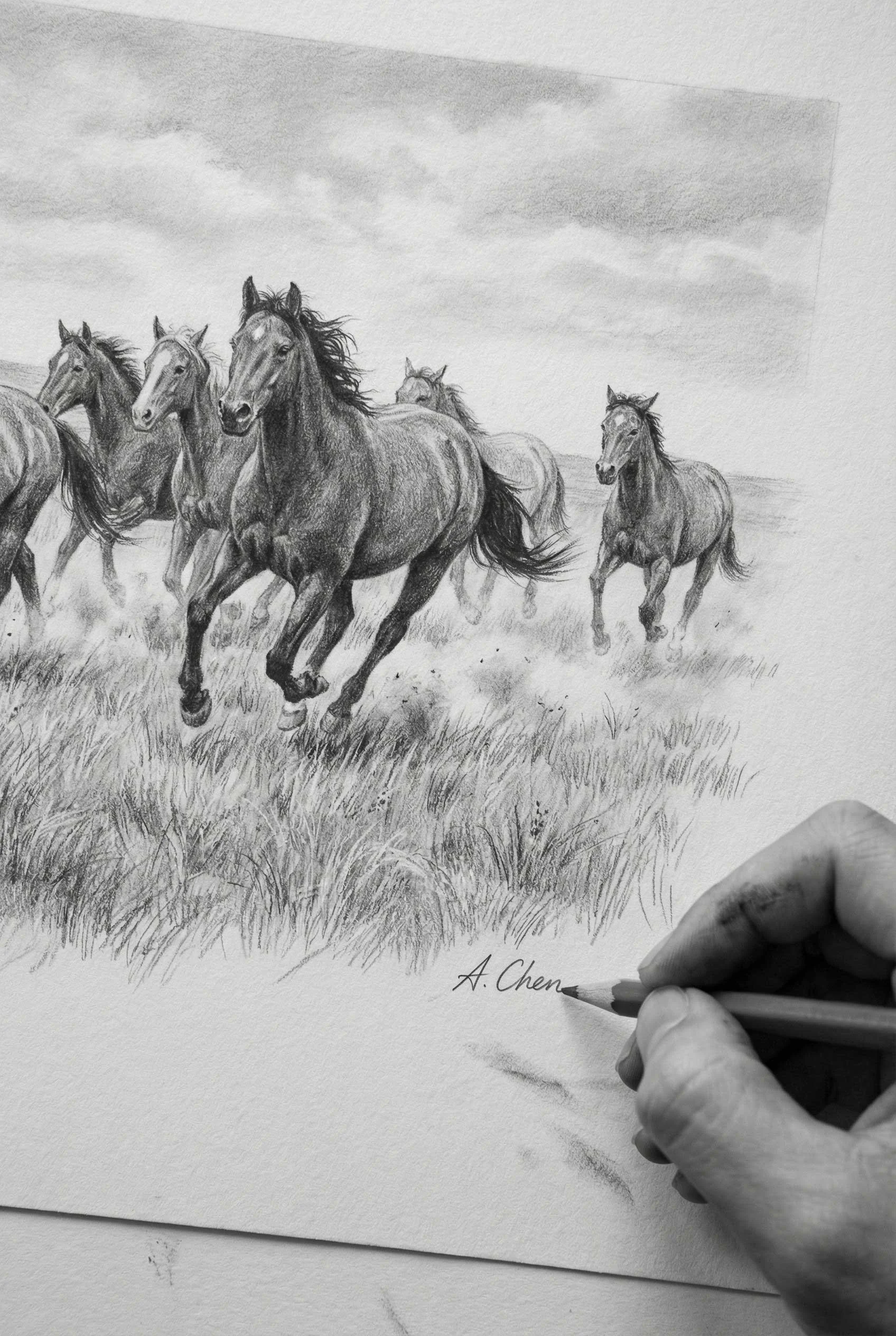 adult-drawing-class-casuarina2.jpg