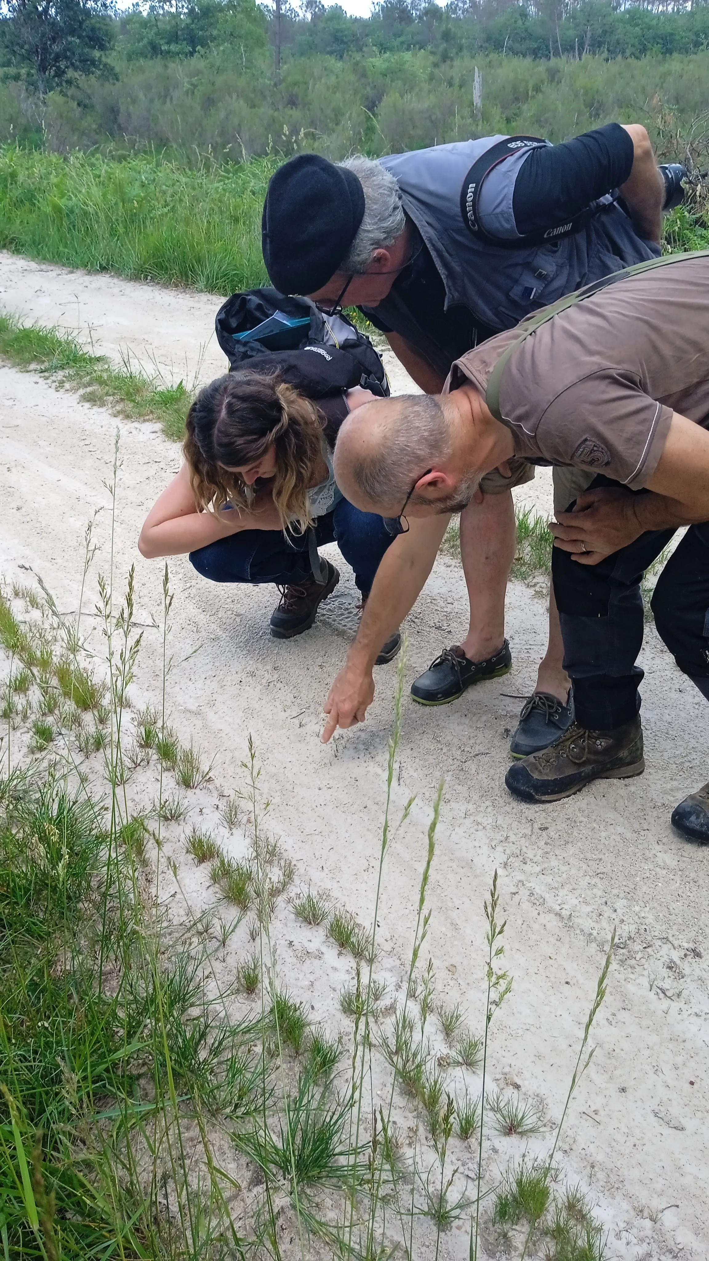 6ème journée du Réseau d'entente du "Loup" : apprenez à connaître le loup