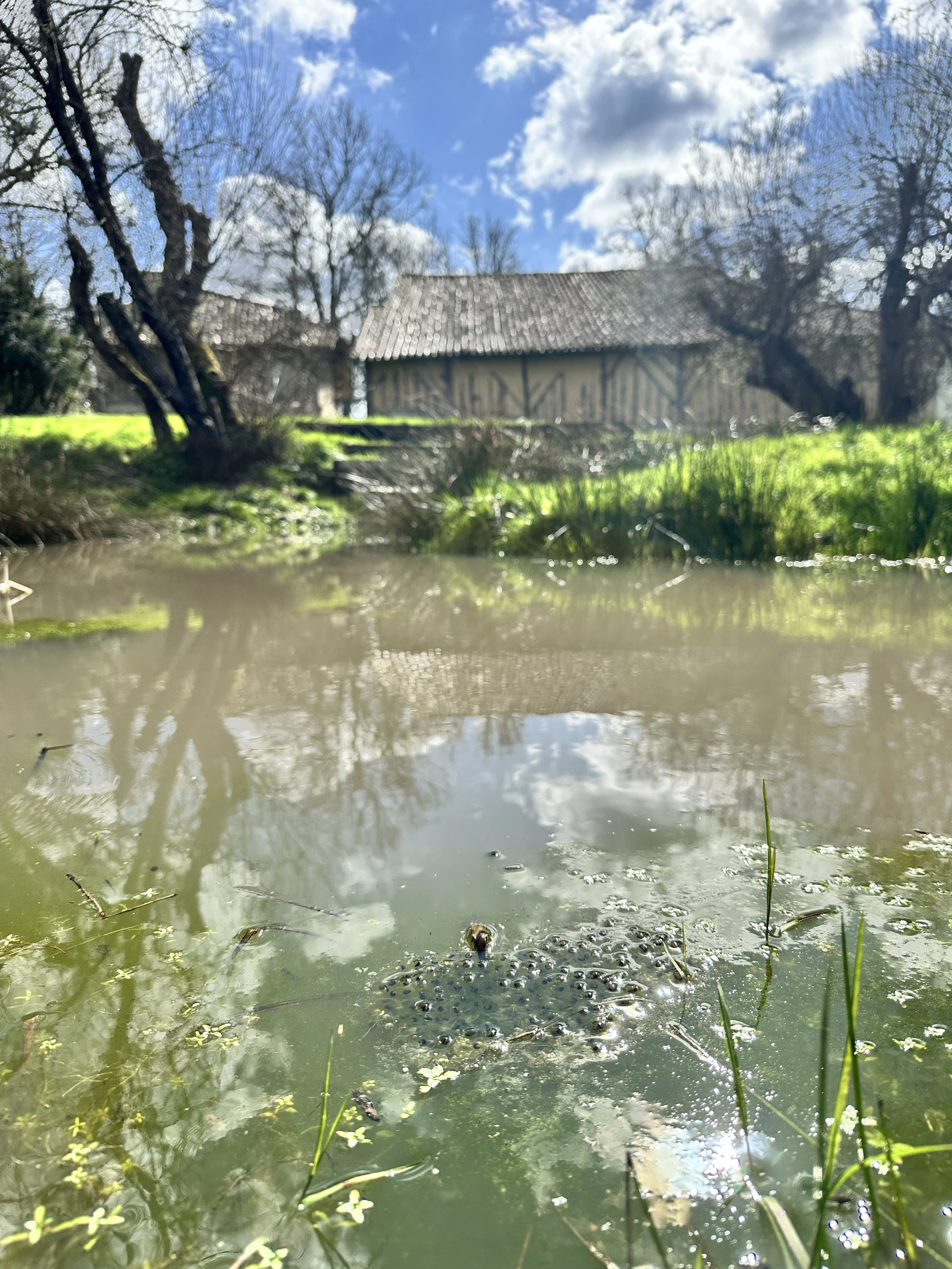 Journée des Zones Humides