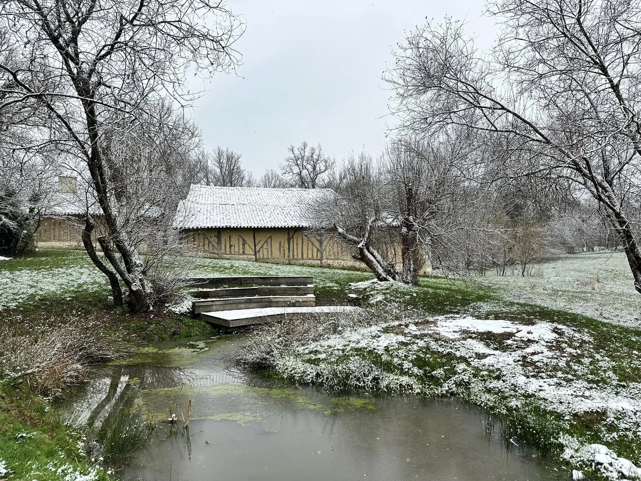 Atelier des vacances d'hiver - Du végétal au prédateur de la mare du Parcot ! (5 à 7 ans)