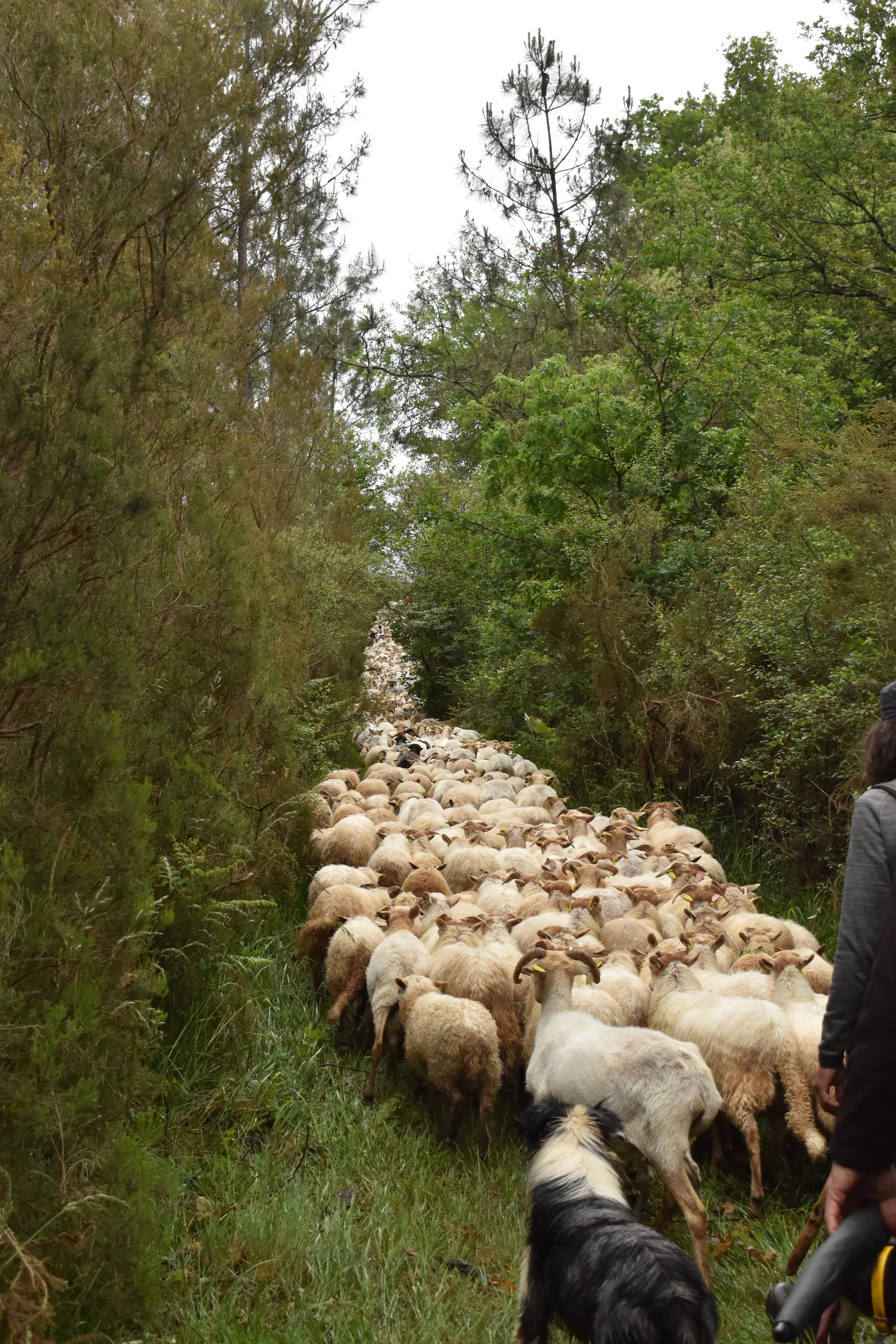Journée Nationale de l'Agriculture 