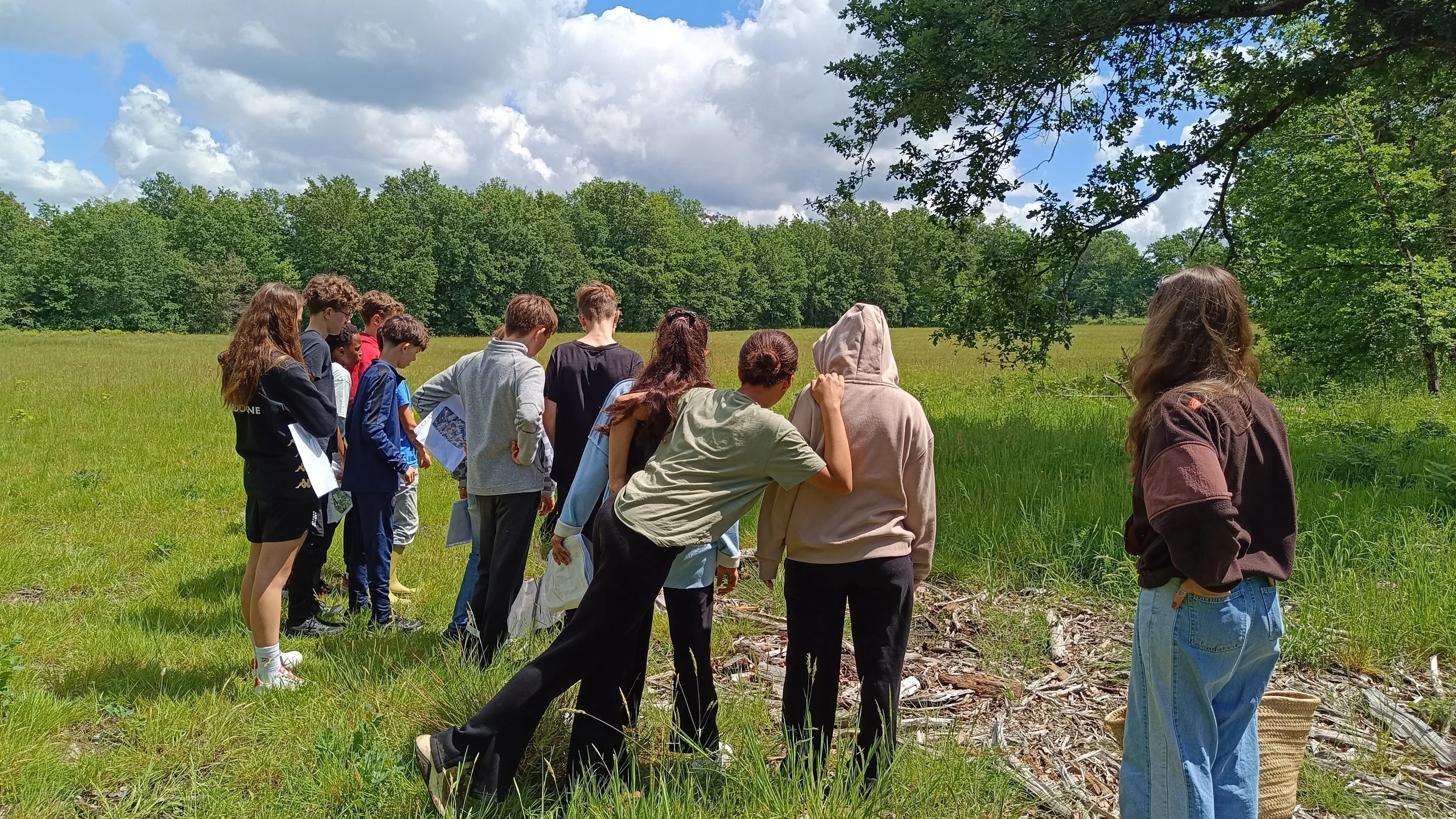 Atelier des vacances d'été - Explor'Forêt ! (5 à 12 ans)
