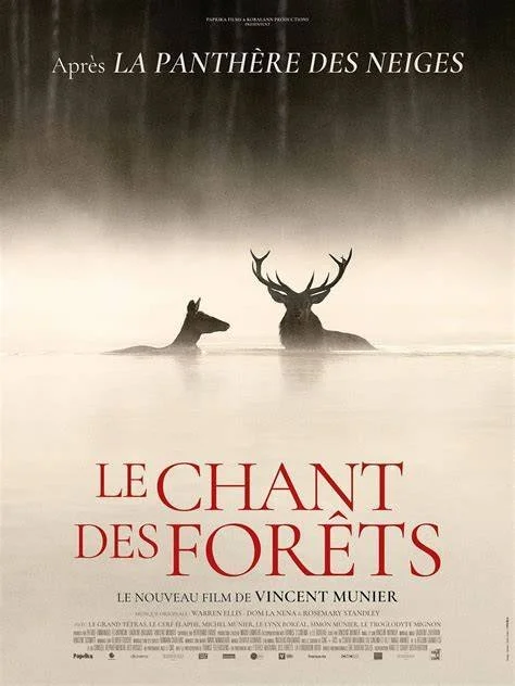 Ciné plein-air - film documentaire "Le chant des forêts", Vincent Munier