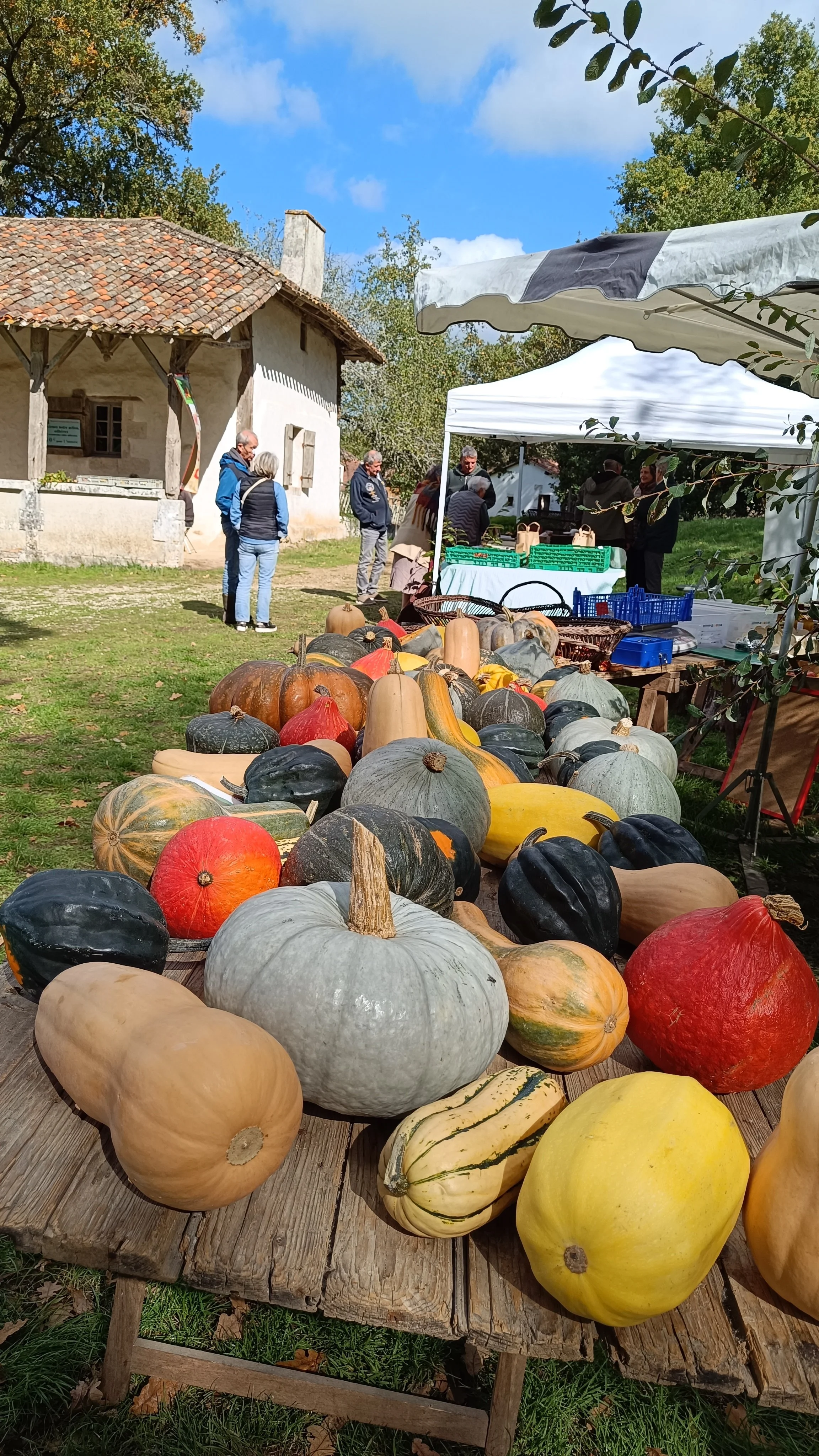 La Fête de l'Automne ! 