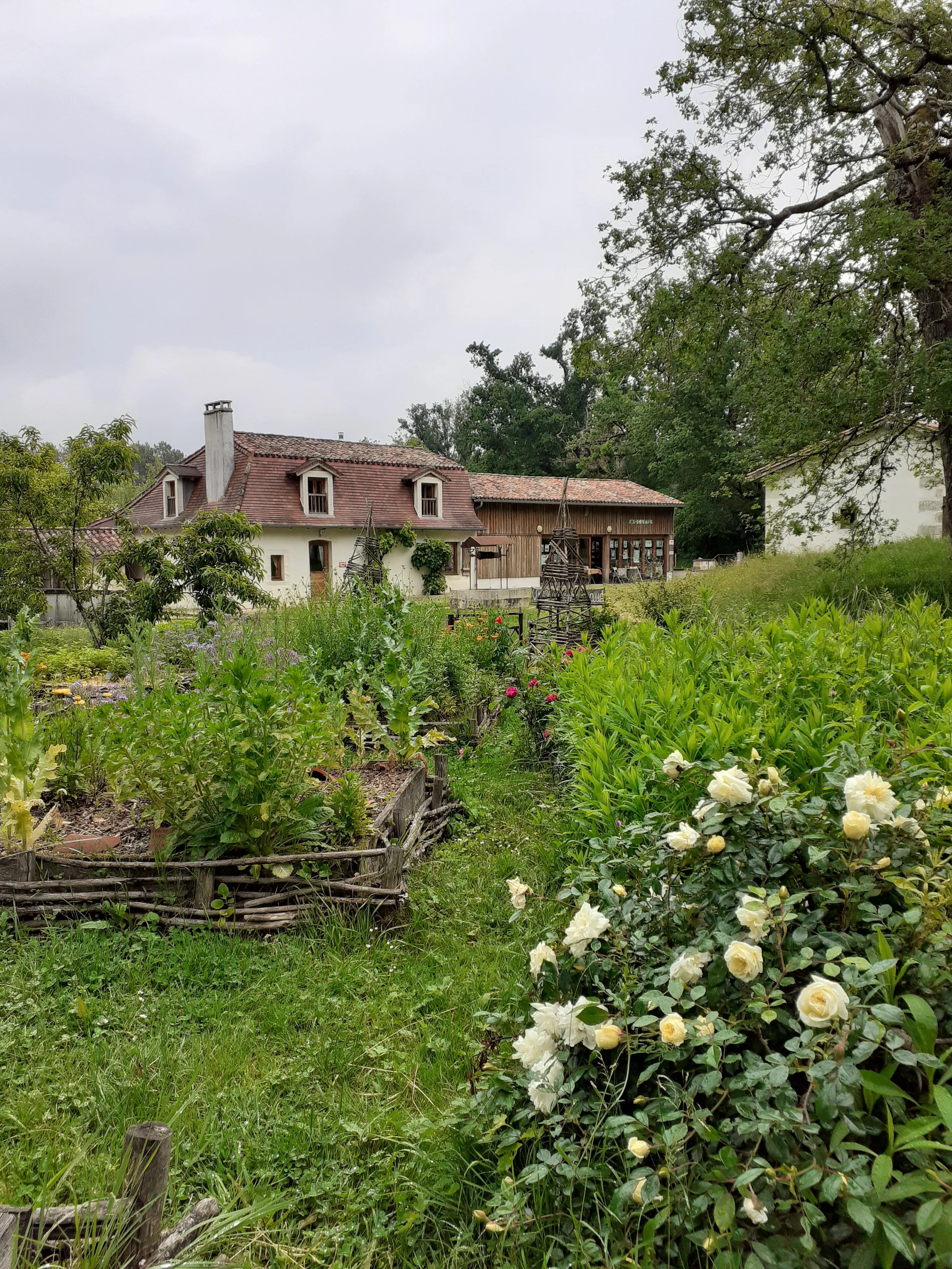 Ateliers manuels aux plantes !