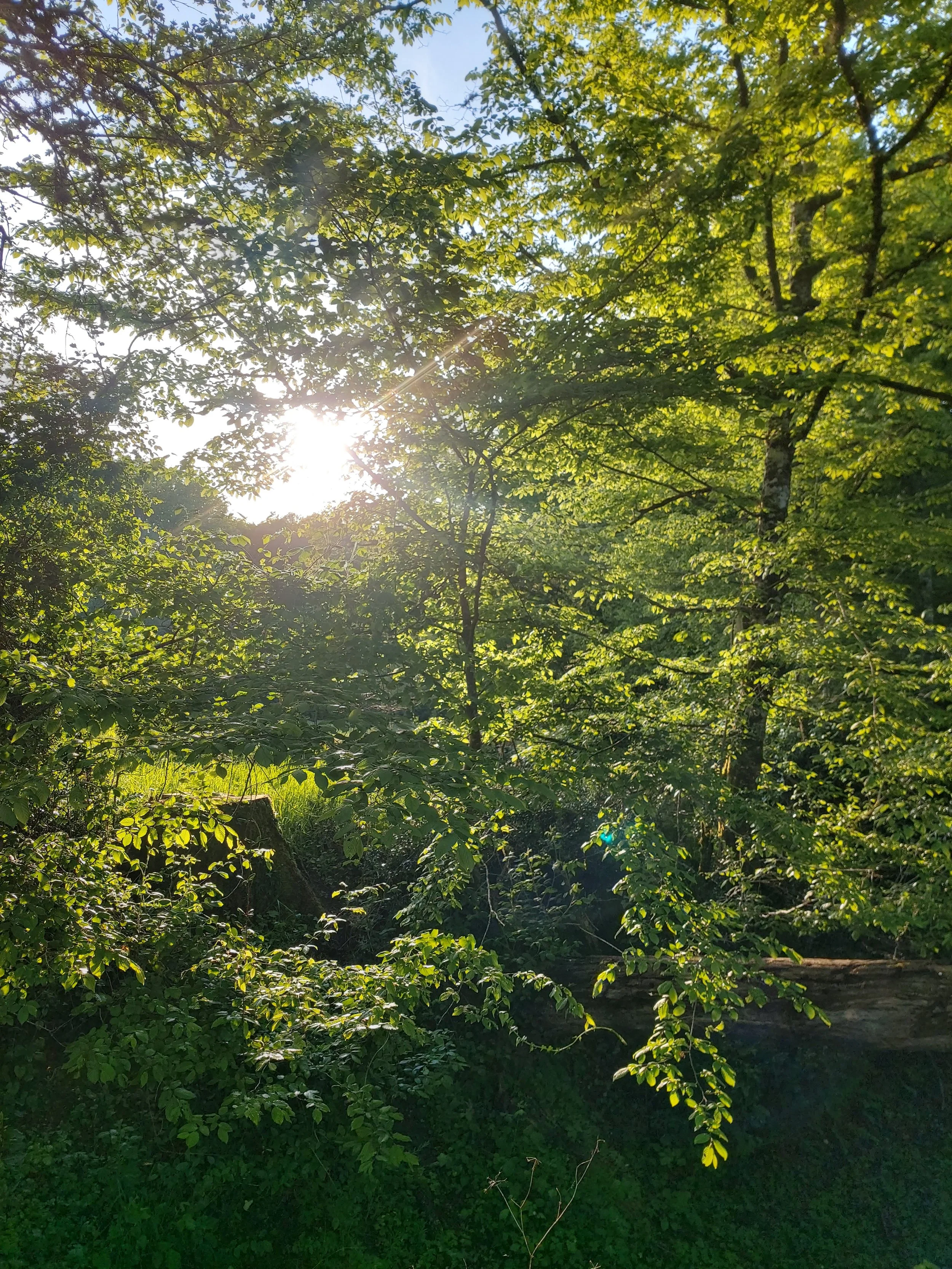 20250417_193221 - Copie.jpg