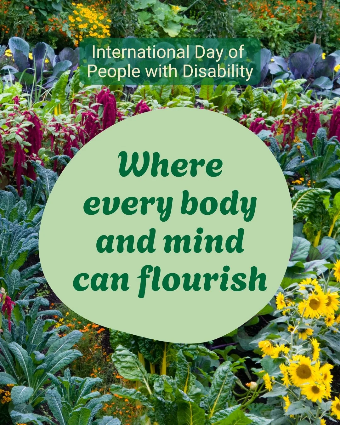 On this International Day of People with a Disability, I'm celebrating diversity in minds, bodies, and gardens. As a neurodivergent person with hypermobility and chronic pain, I&rsquo;ve experienced how gardening can help my overall wellbeing. But I 